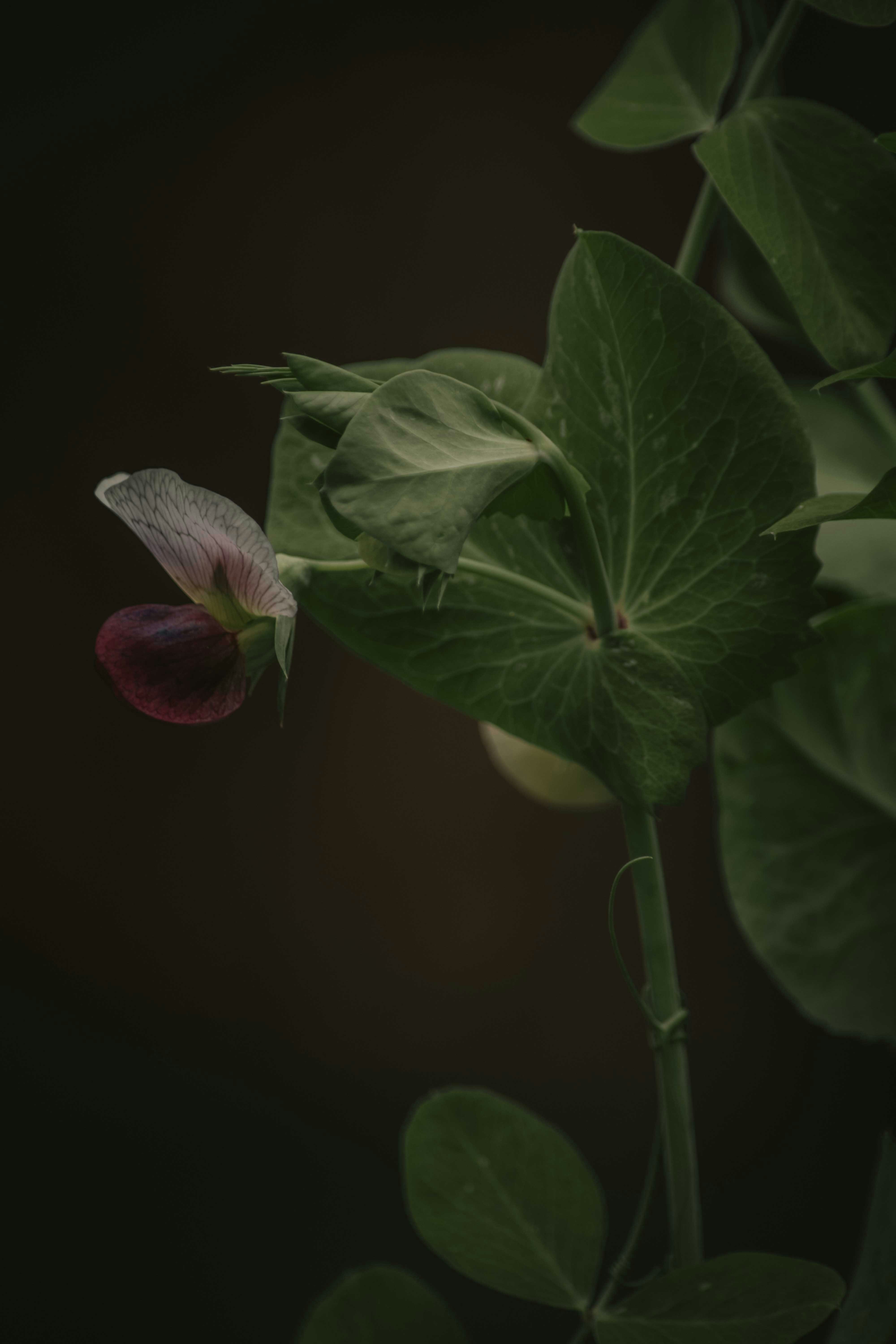 Photo by utunzajiwamazingira