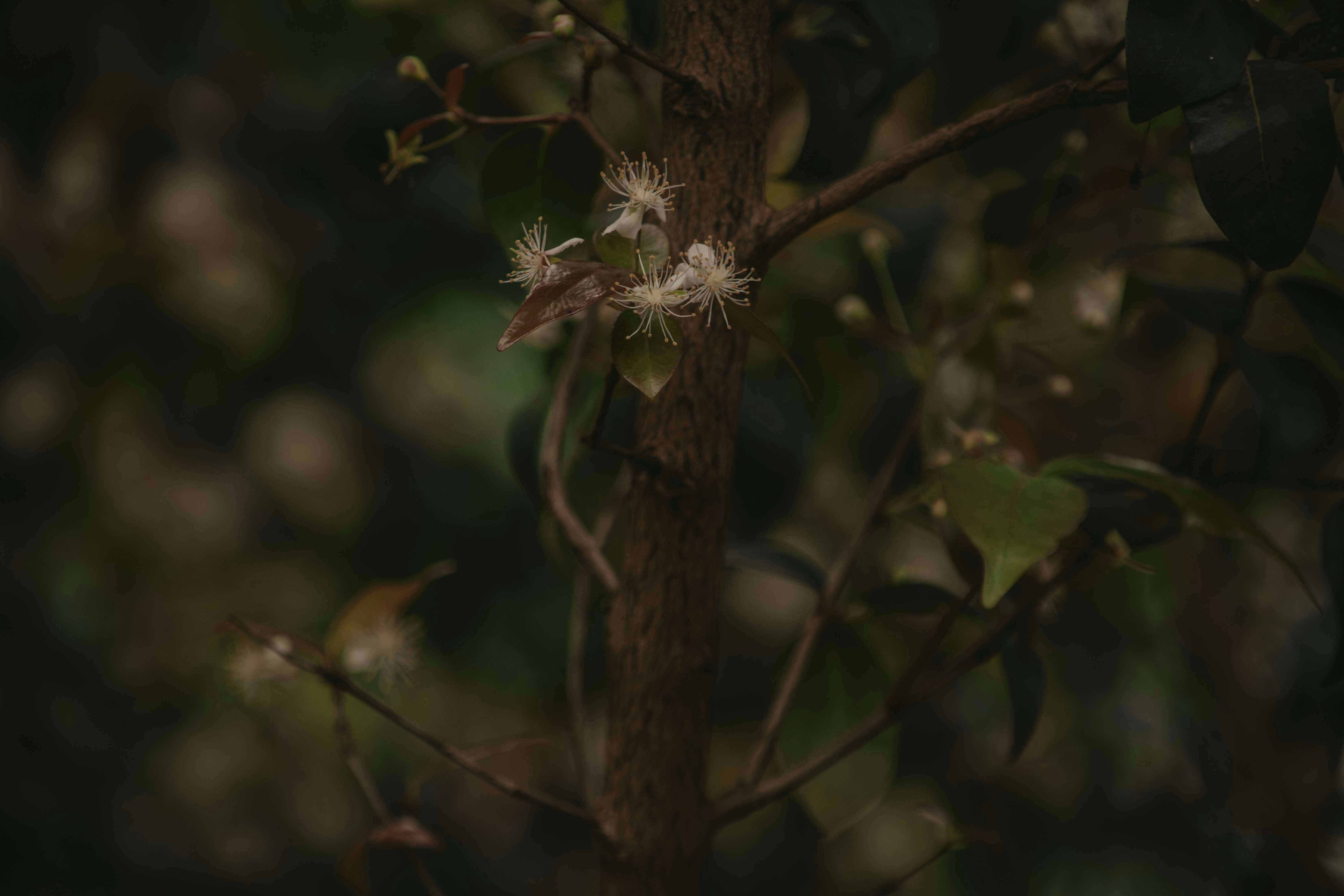 Photo by utunzajiwamazingira