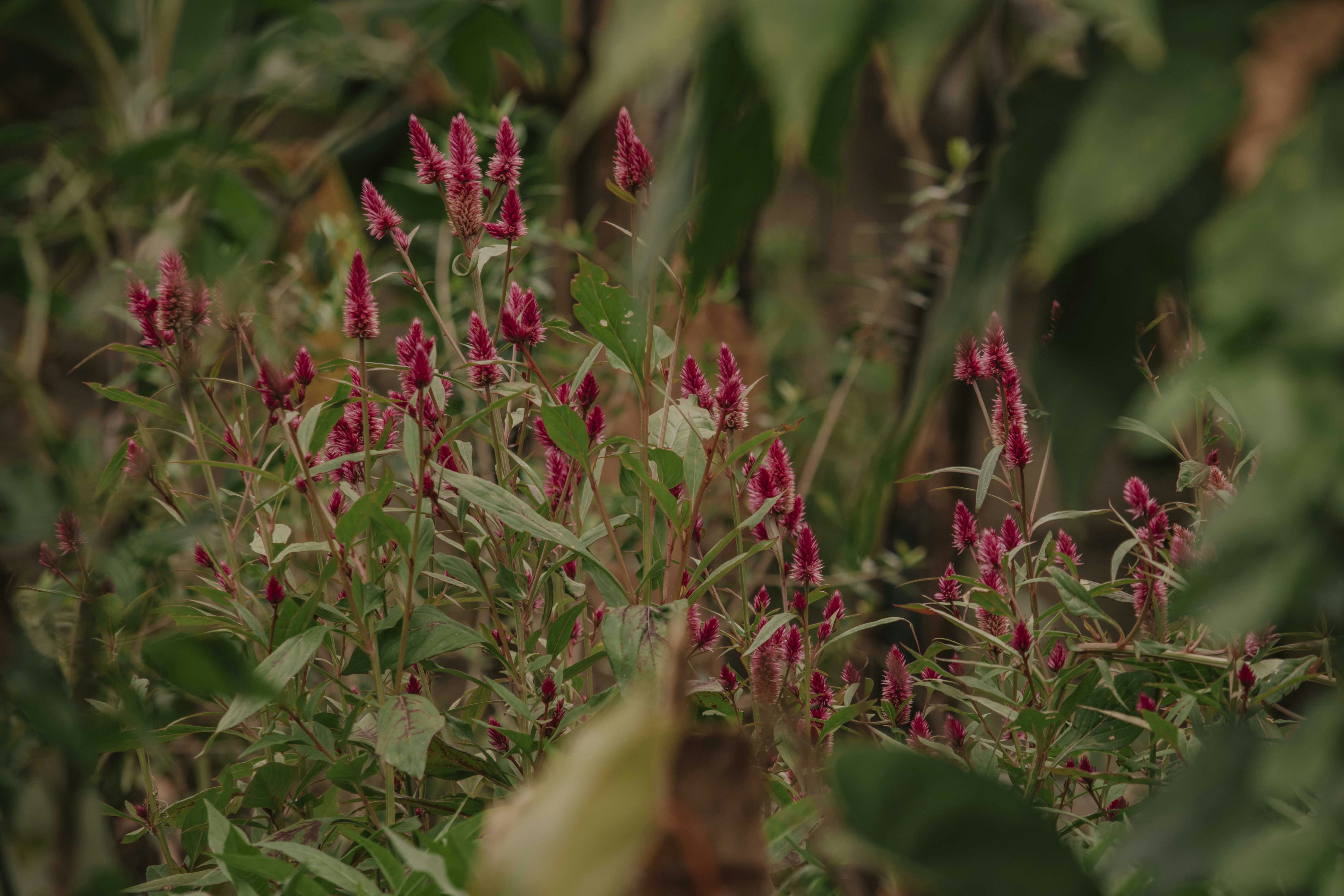 Photo by utunzajiwamazingira