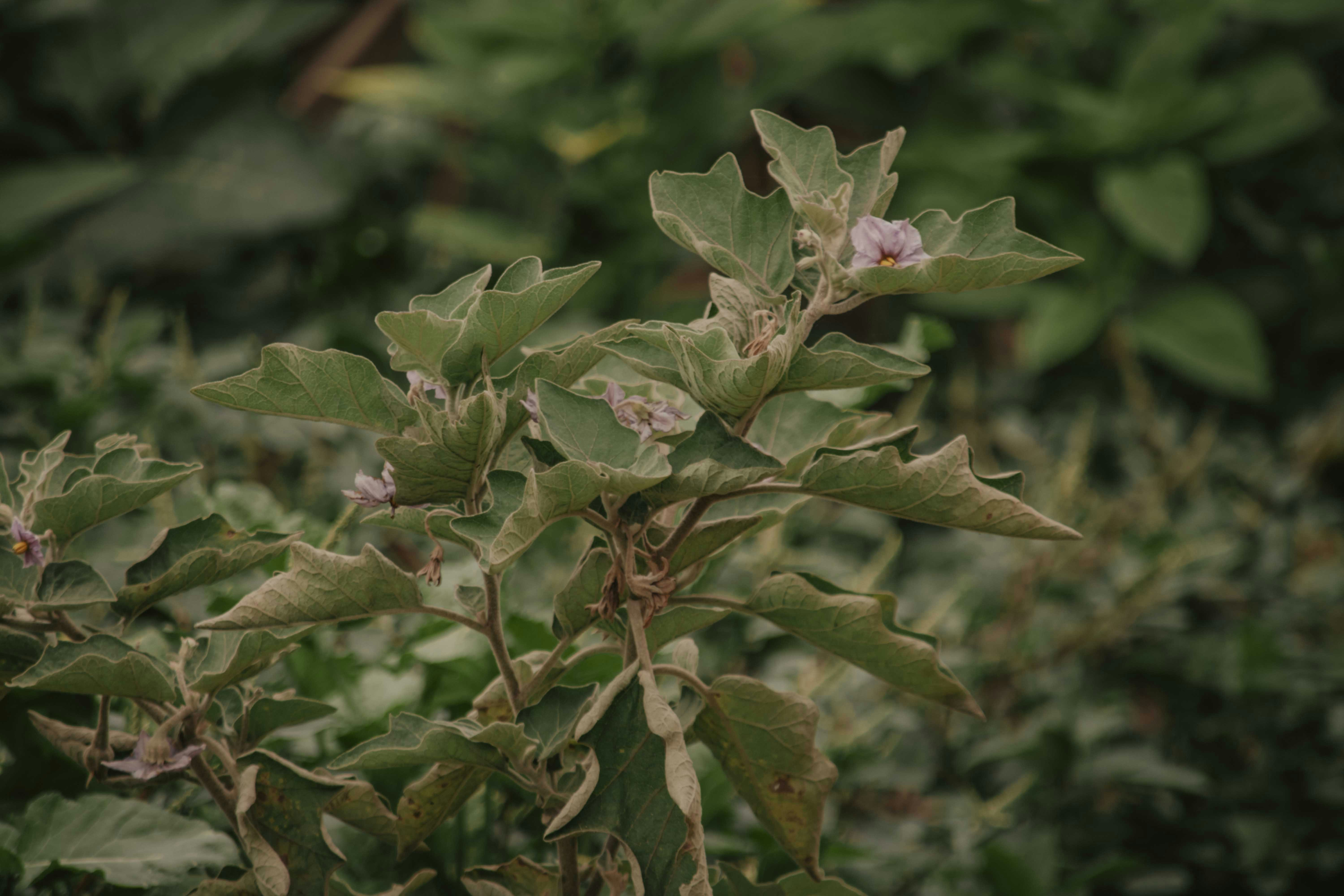 Photo by utunzajiwamazingira