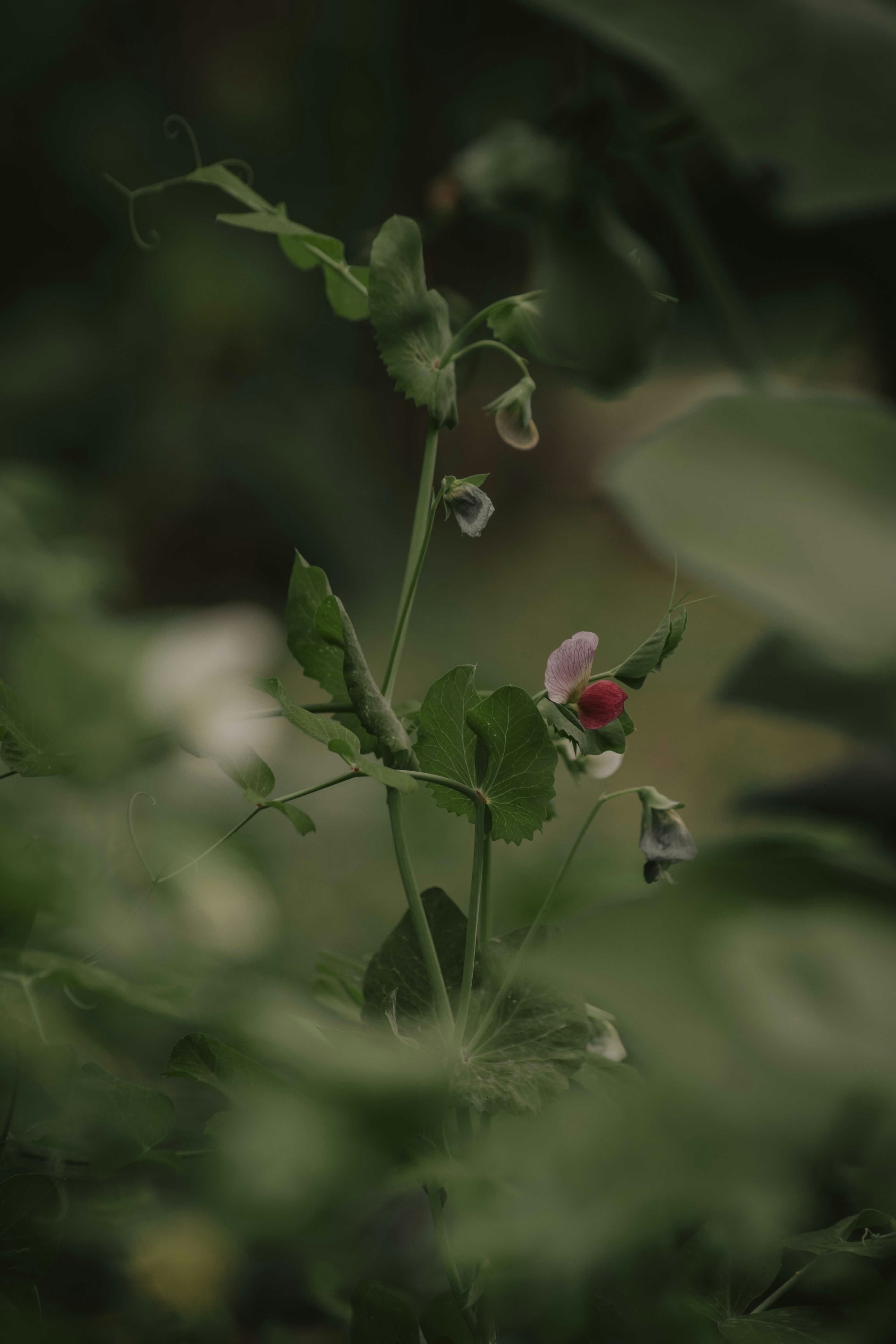 Photo by utunzajiwamazingira