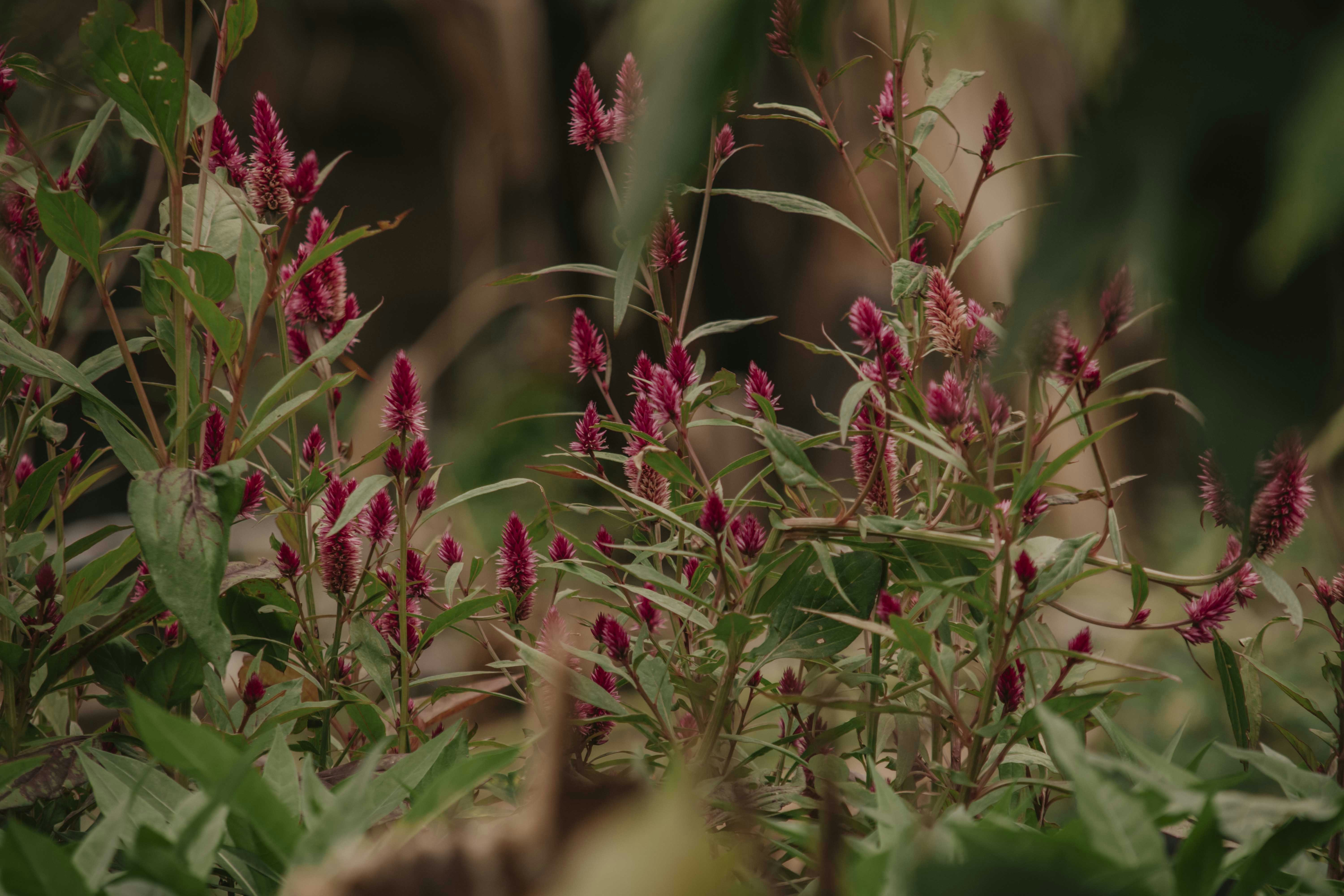 Photo by utunzajiwamazingira