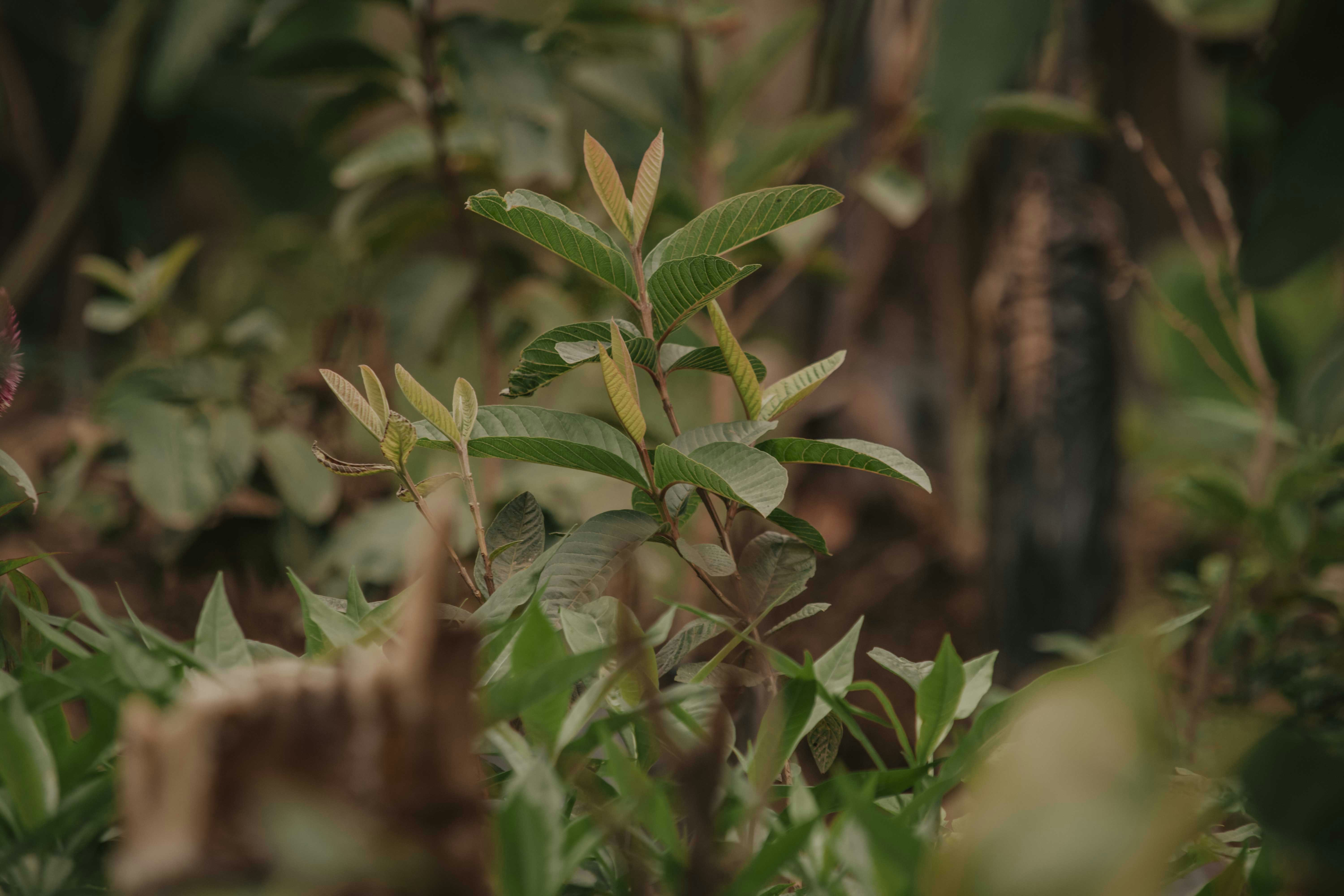 Photo by utunzajiwamazingira