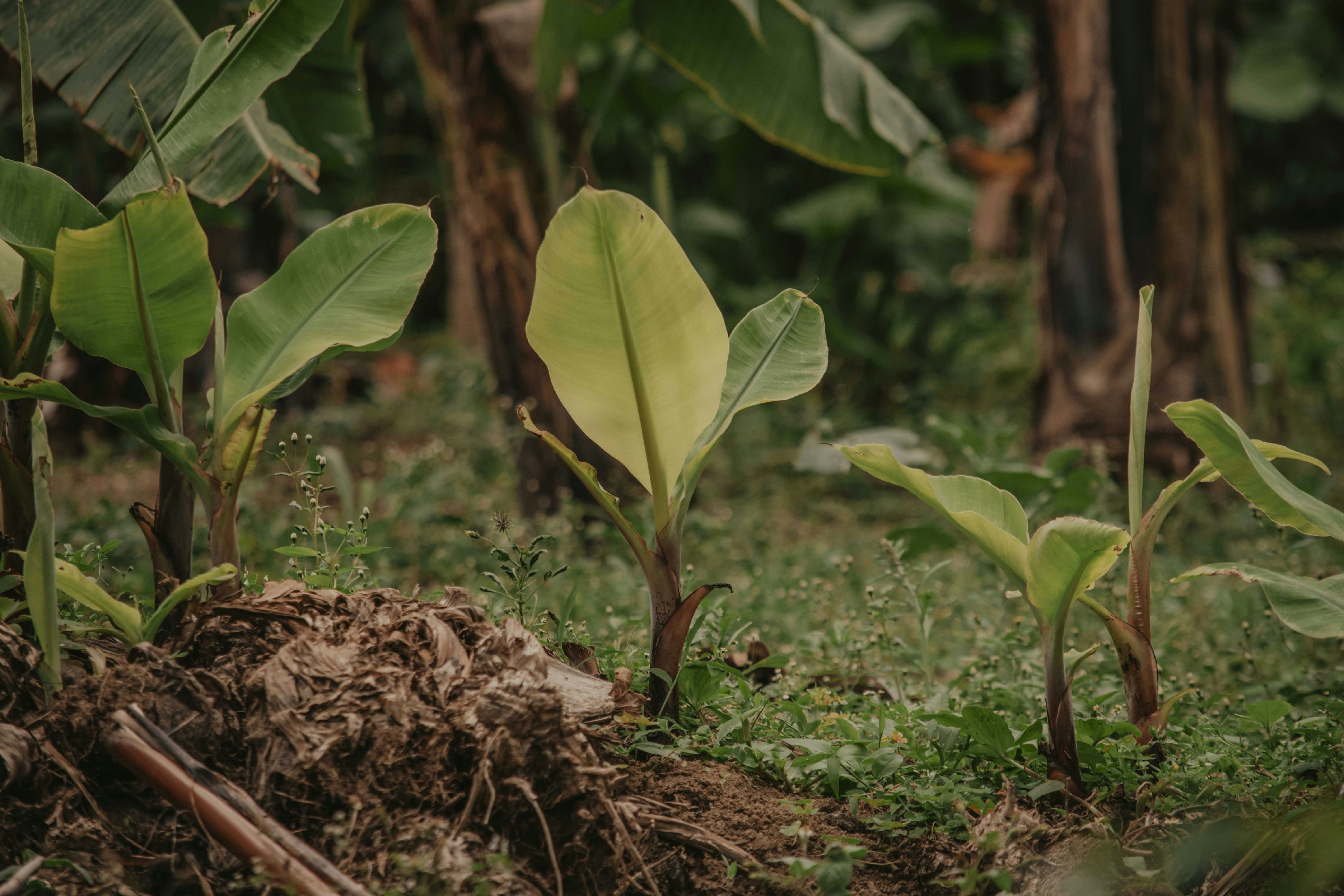 Photo by utunzajiwamazingira