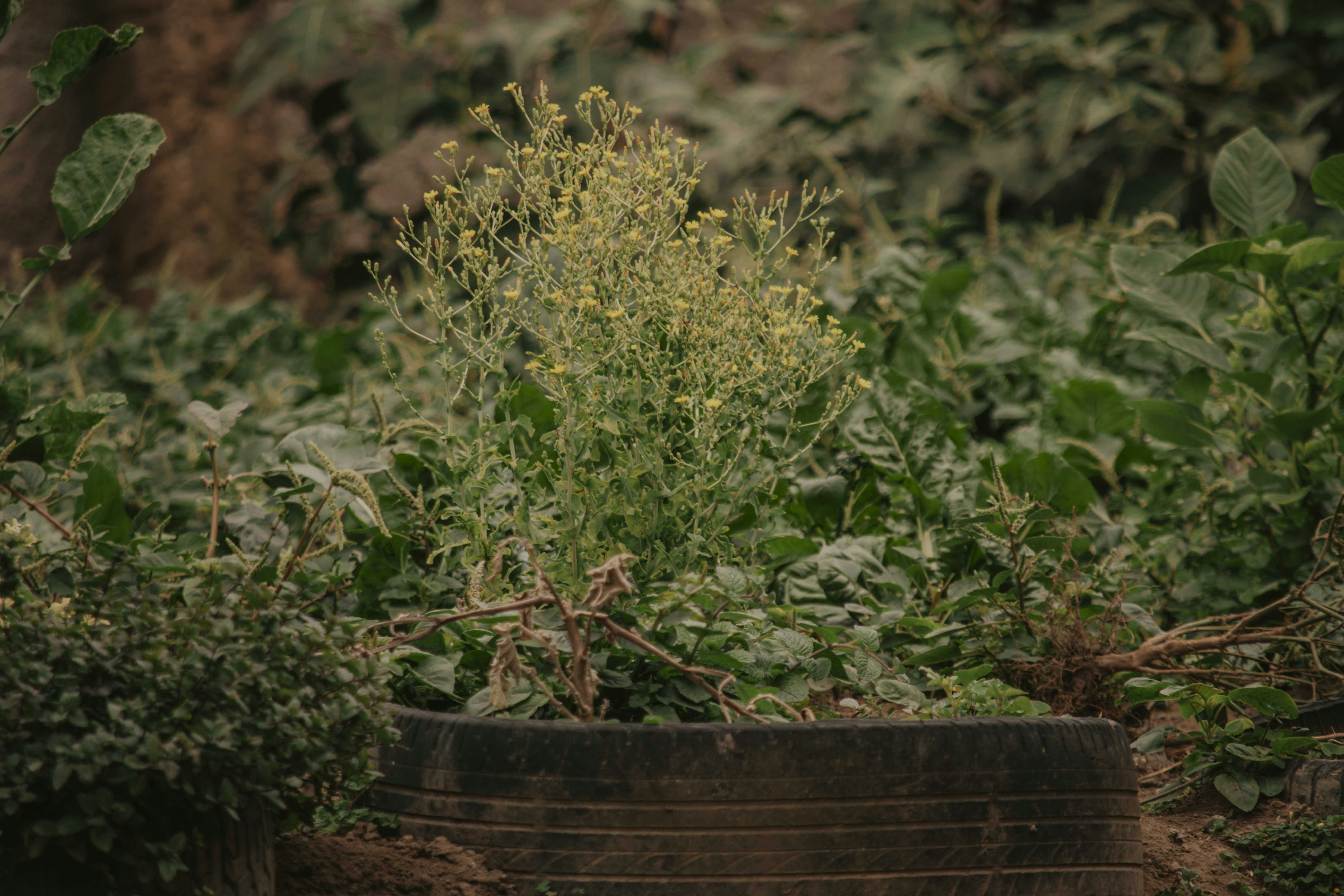 Photo by utunzajiwamazingira