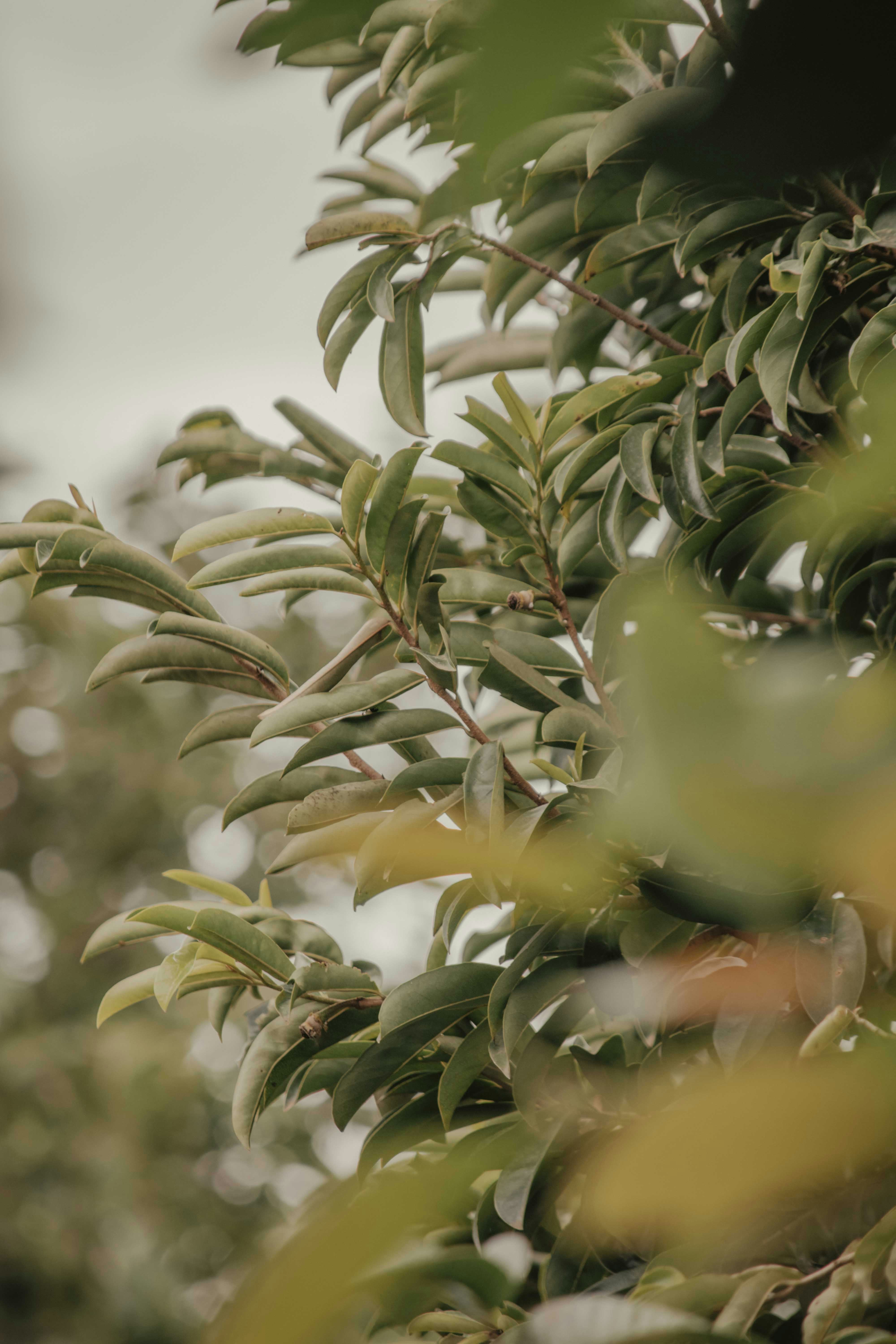 Photo by utunzajiwamazingira