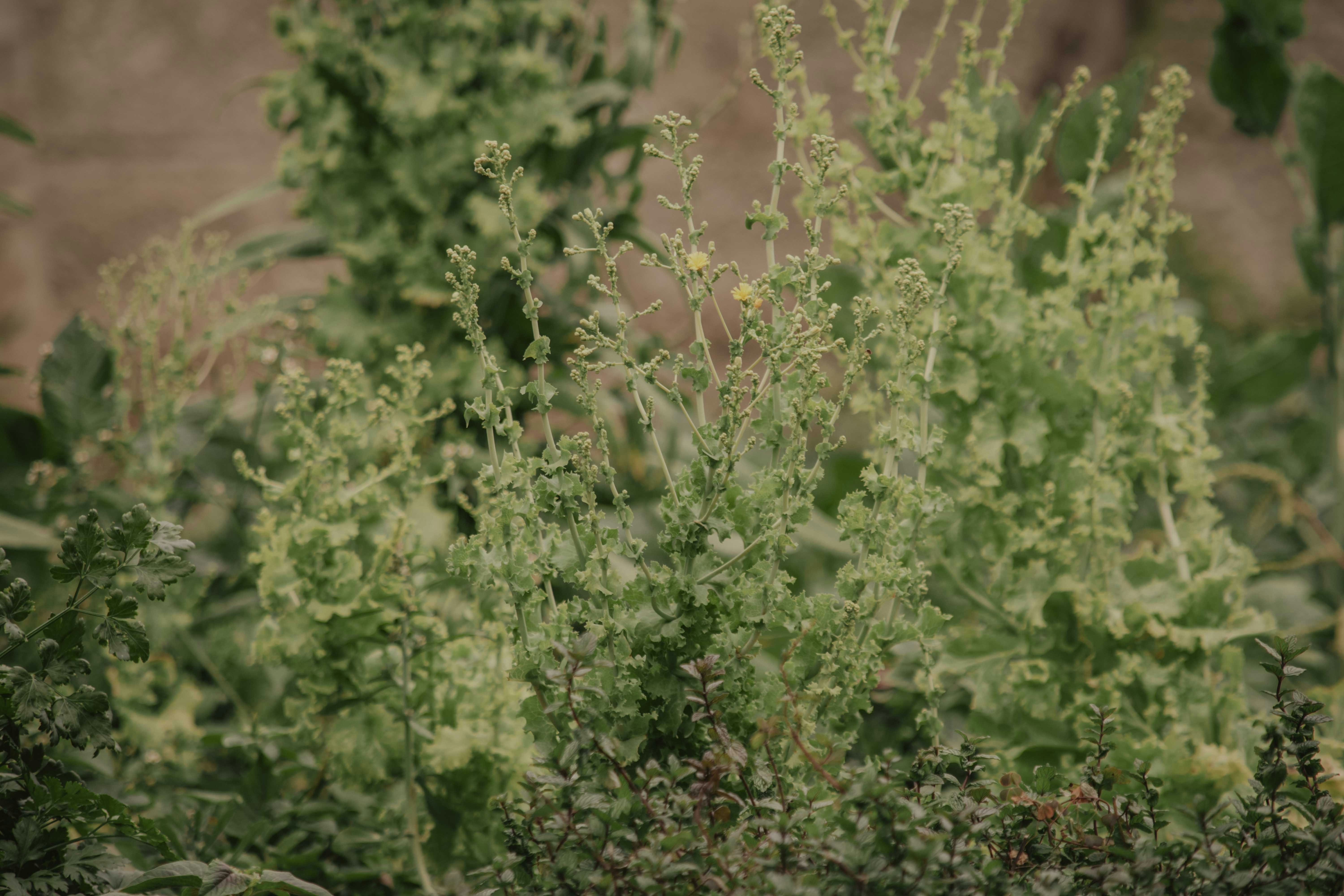 Photo by utunzajiwamazingira