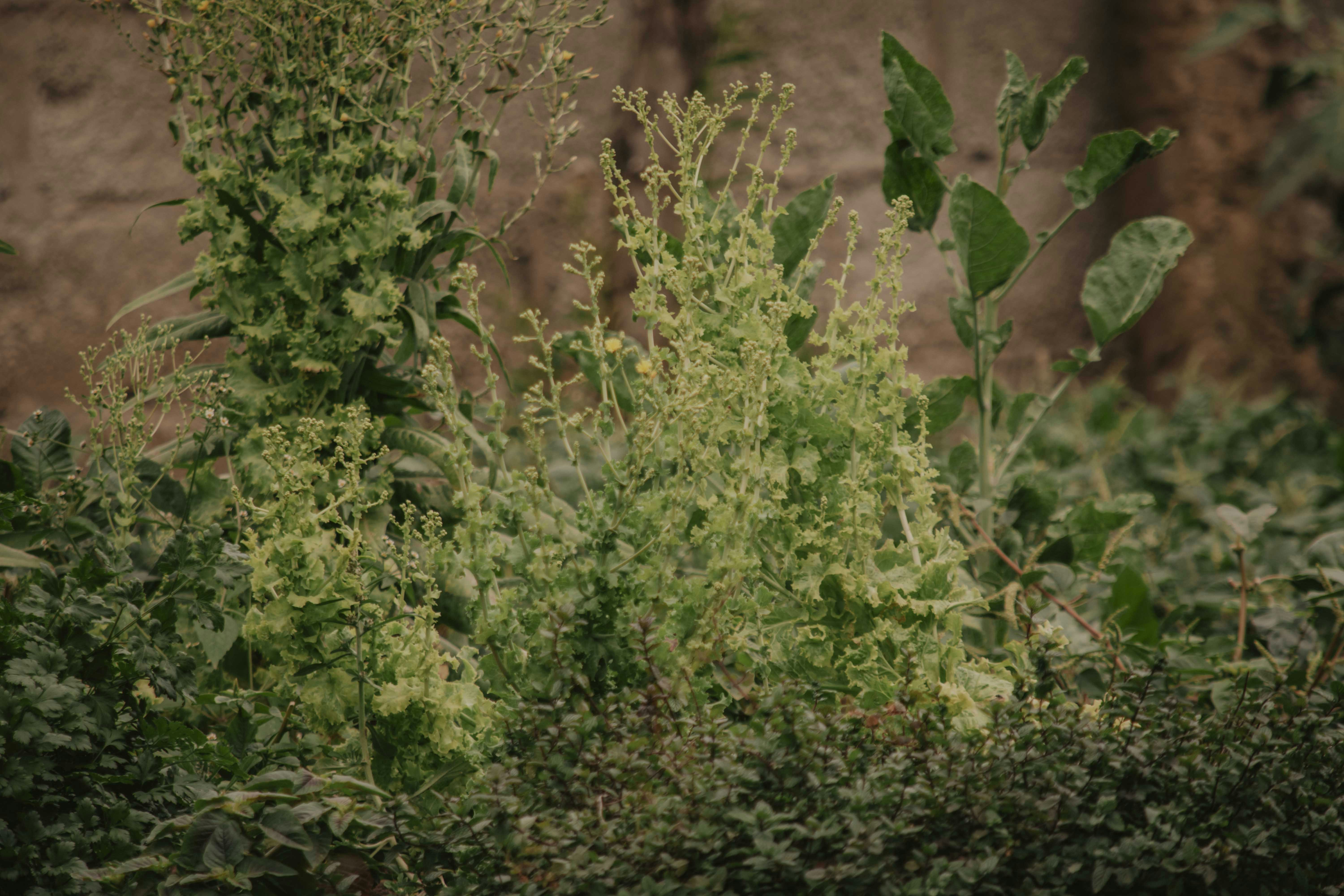 Photo by utunzajiwamazingira