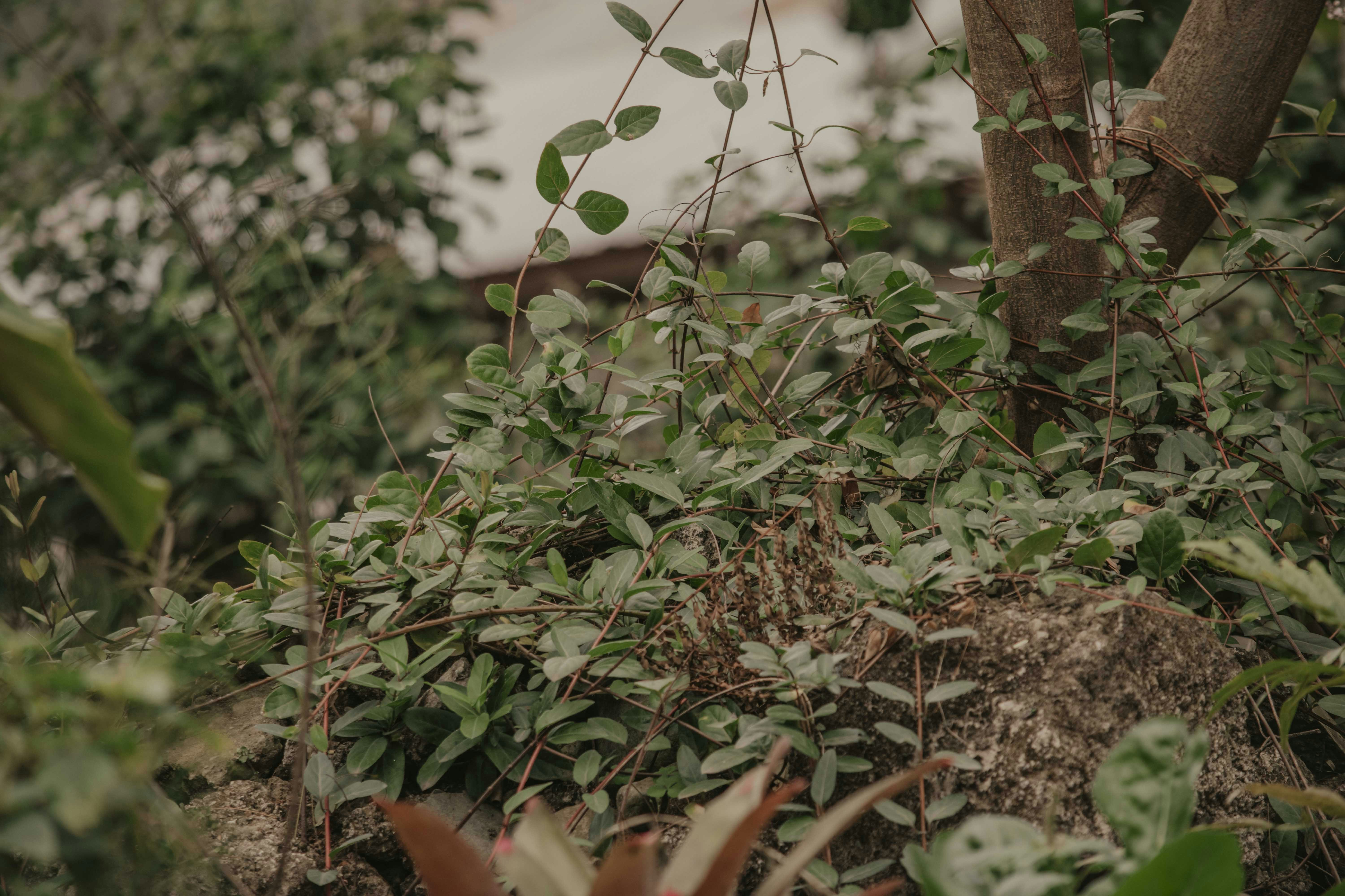 Photo by utunzajiwamazingira