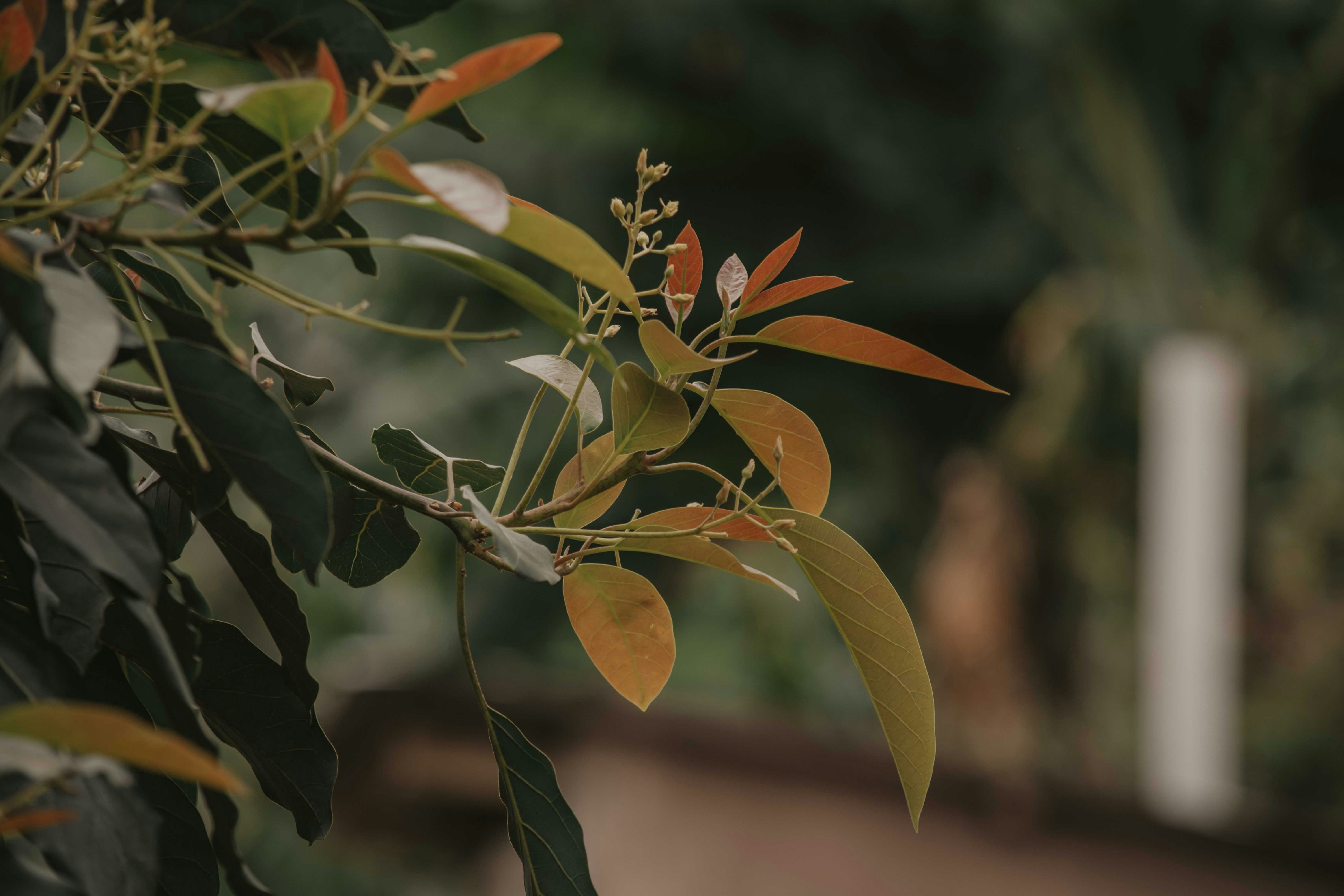 Photo by utunzajiwamazingira