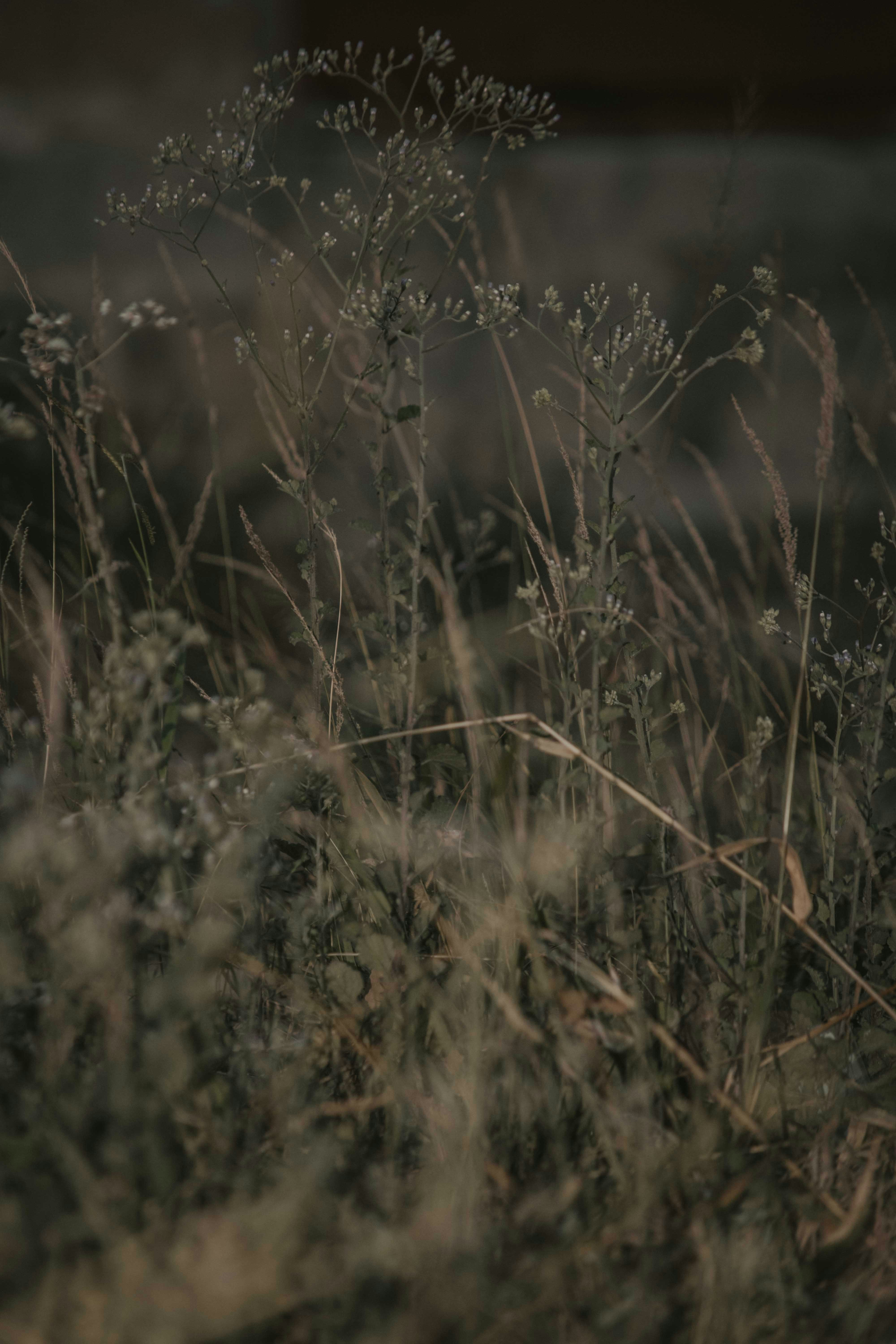 Photo by utunzajiwamazingira