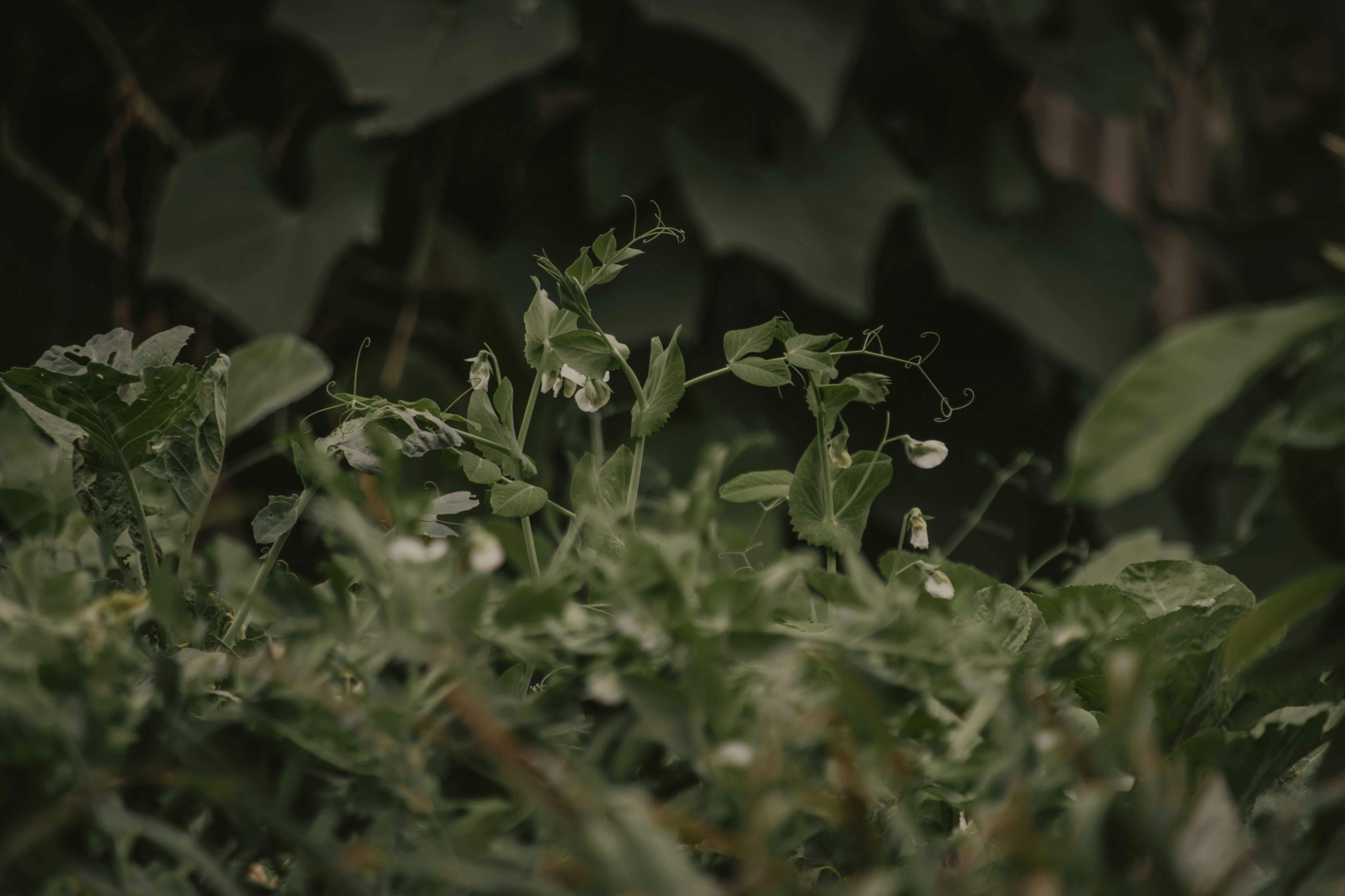 Photo by utunzajiwamazingira