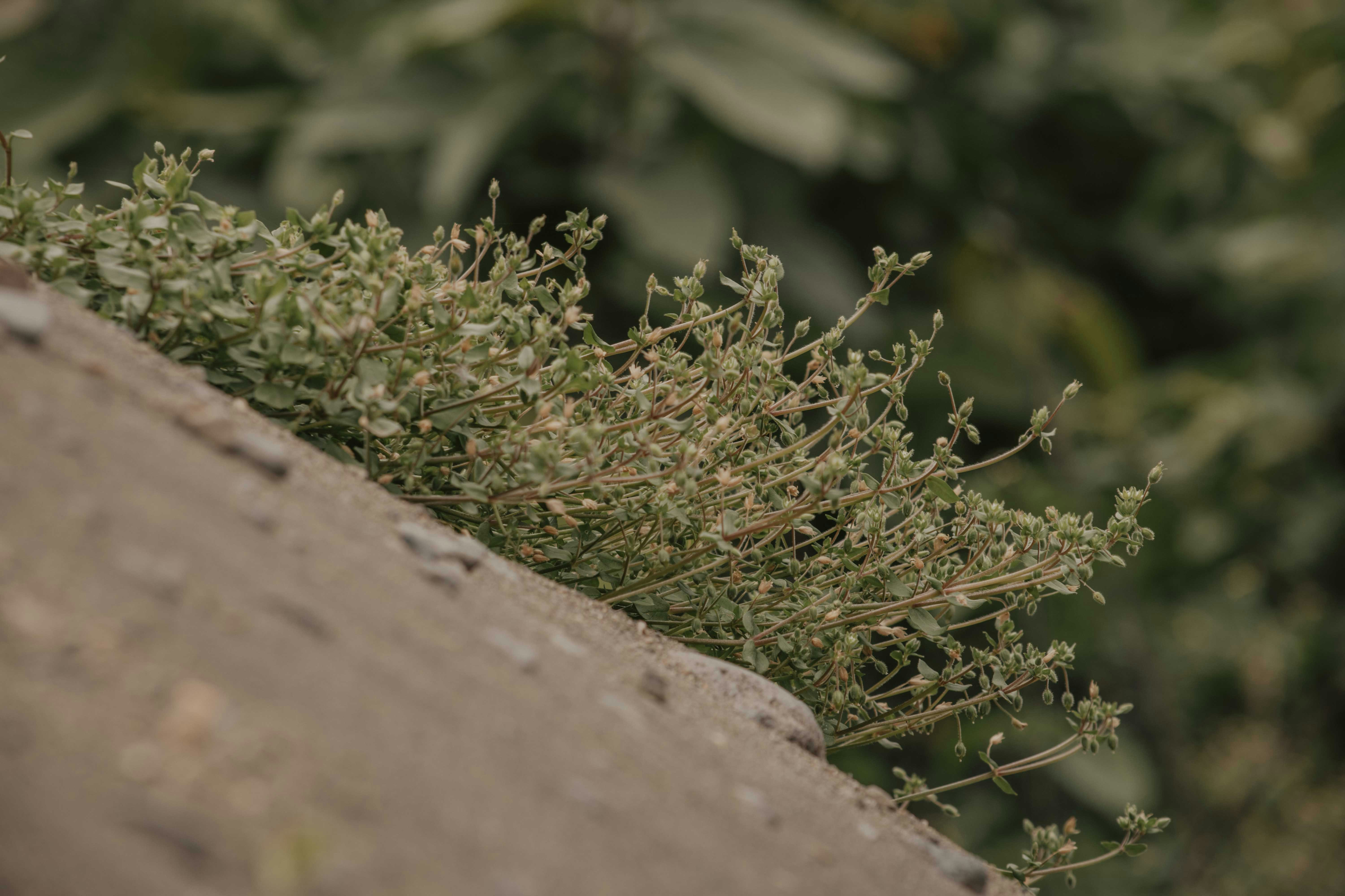 Photo by utunzajiwamazingira