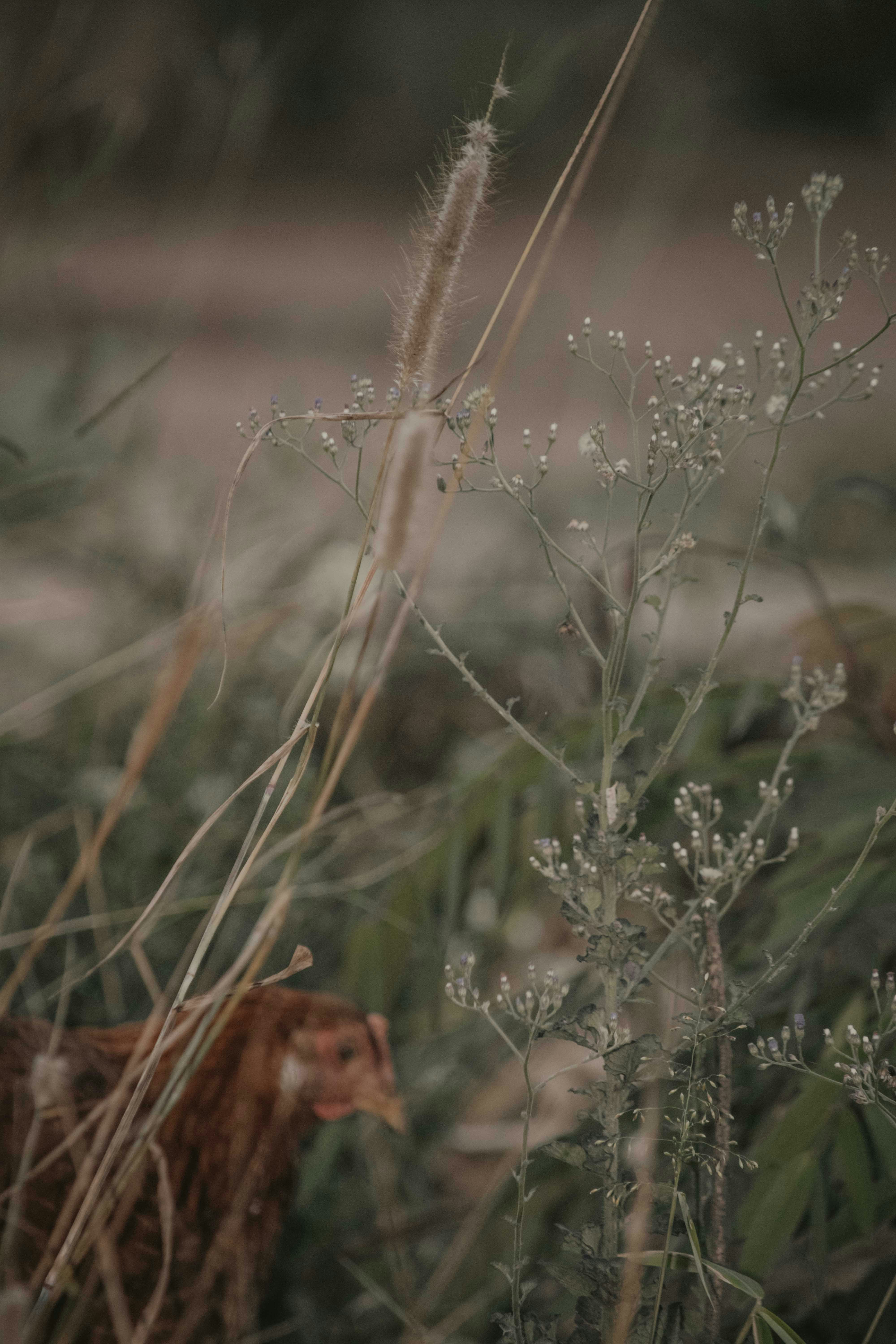 Photo by utunzajiwamazingira