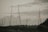 A landscape featuring several tall electrical transmission towers standing amidst an open field. The towers are interconnected by numerous power lines. The sky is overcast with a mixture of grey clouds, adding to the subdued lighting of the scene. Vegetation and distant trees line the horizon, providing a contrasting natural element to the industrial structures.