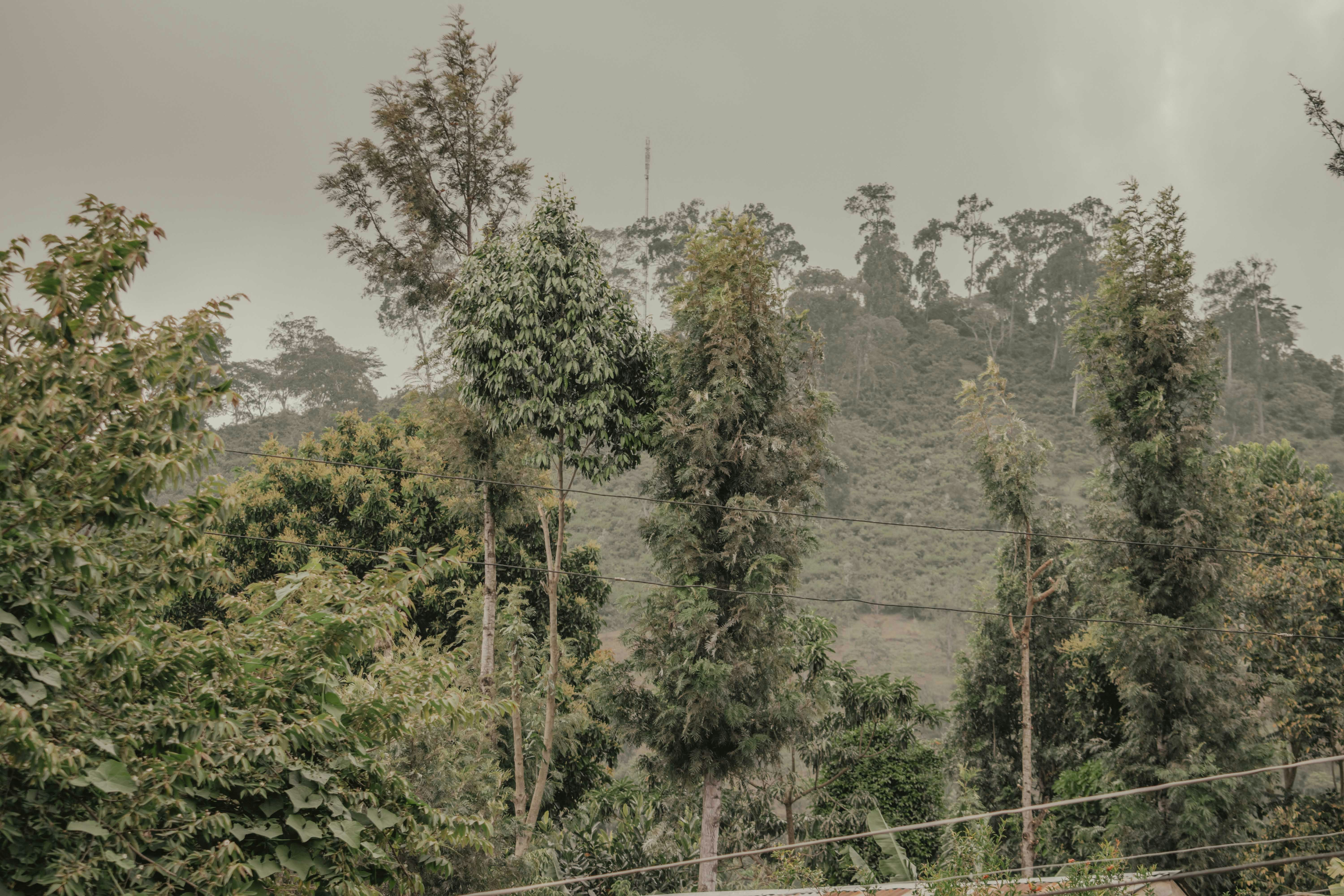 Photo by utunzajiwamazingira