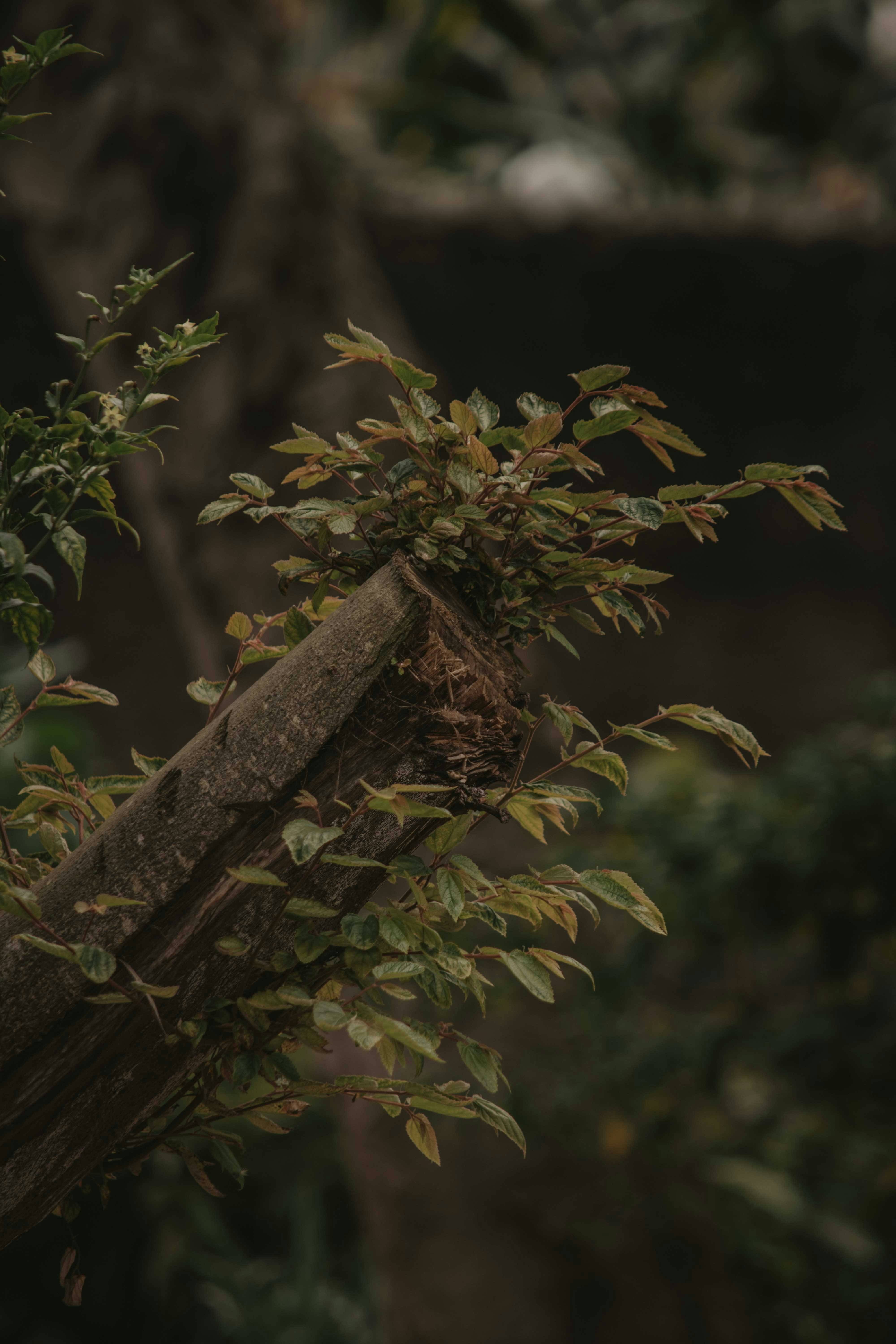 Photo by utunzajiwamazingira