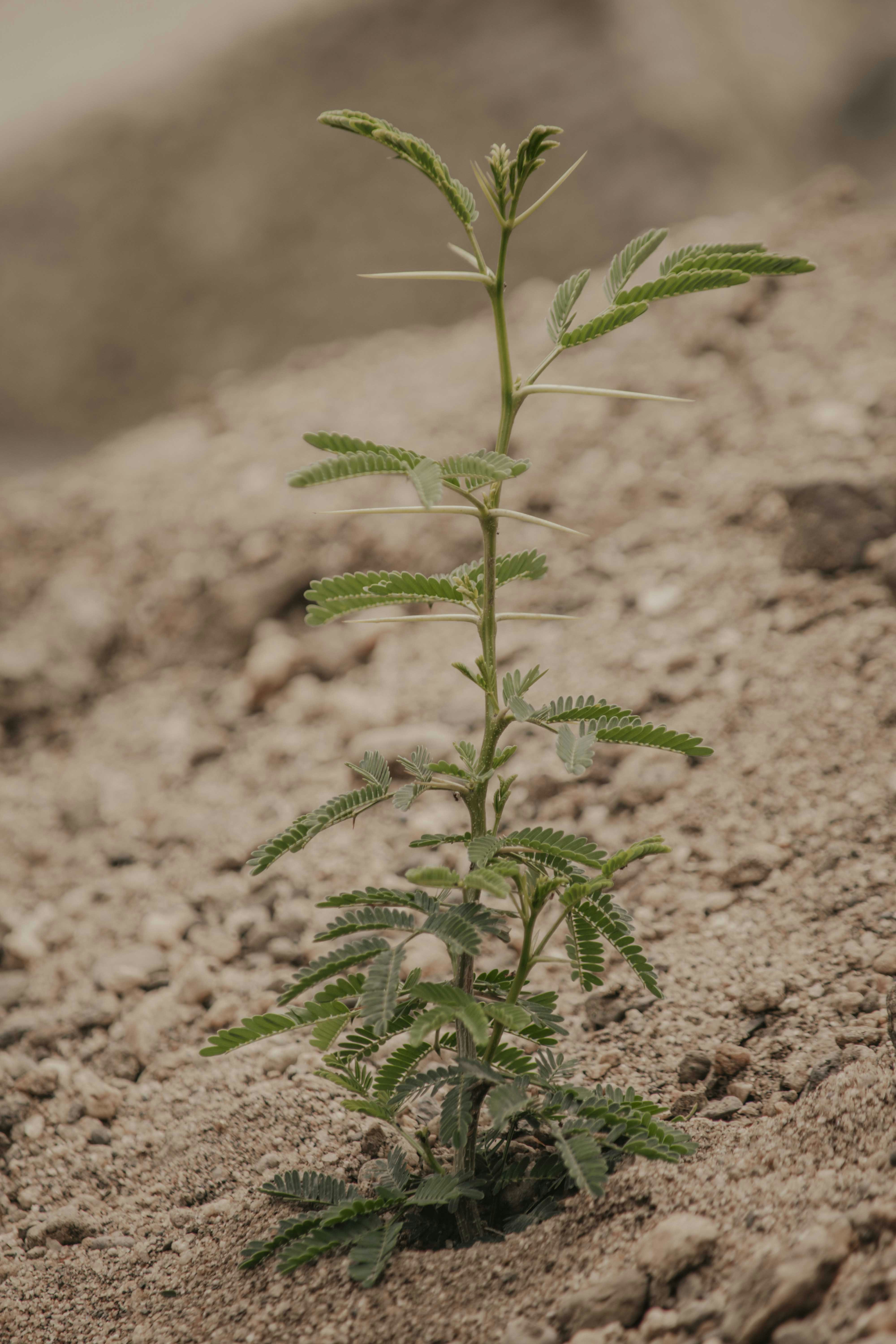 Photo by utunzajiwamazingira