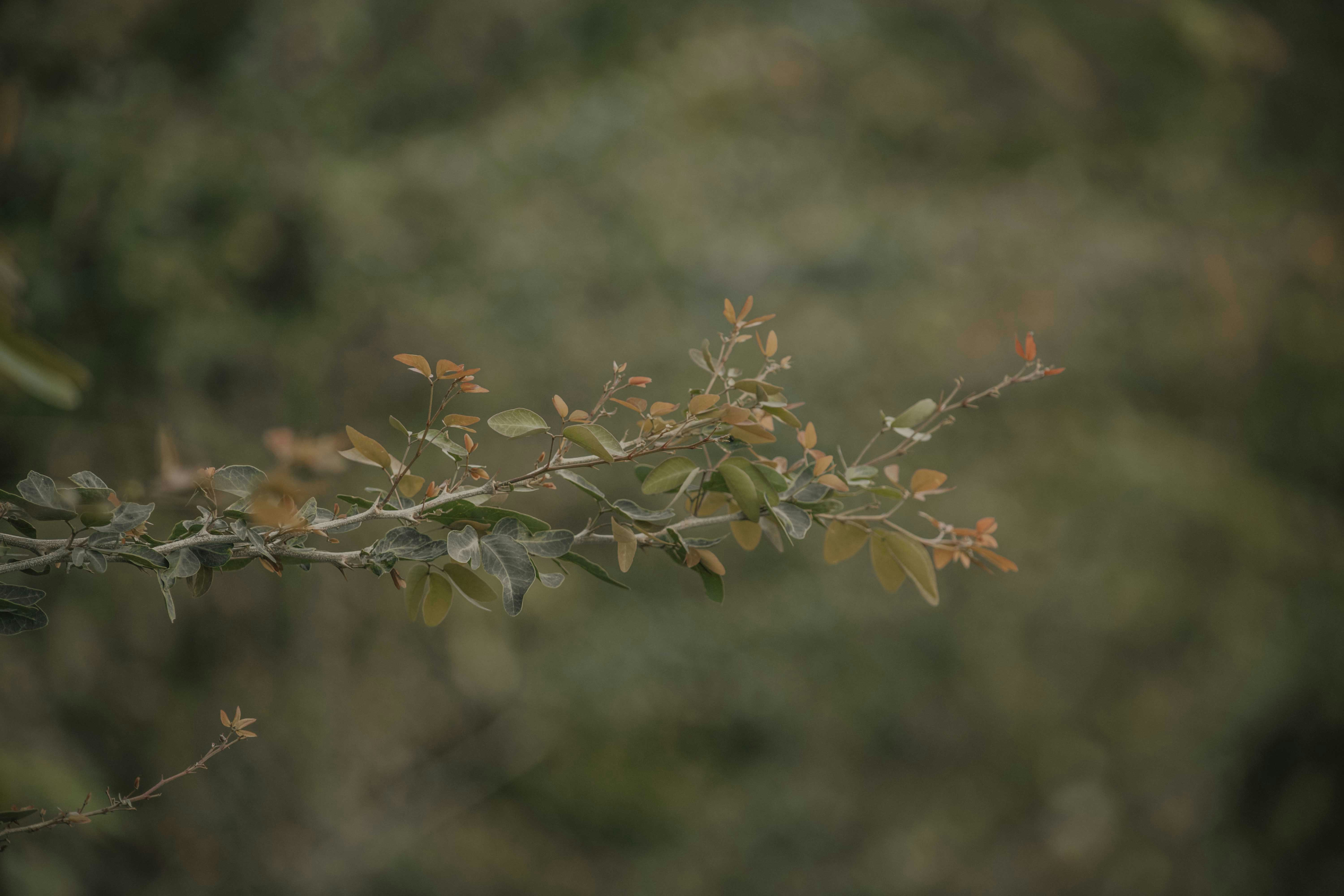 Photo by utunzajiwamazingira