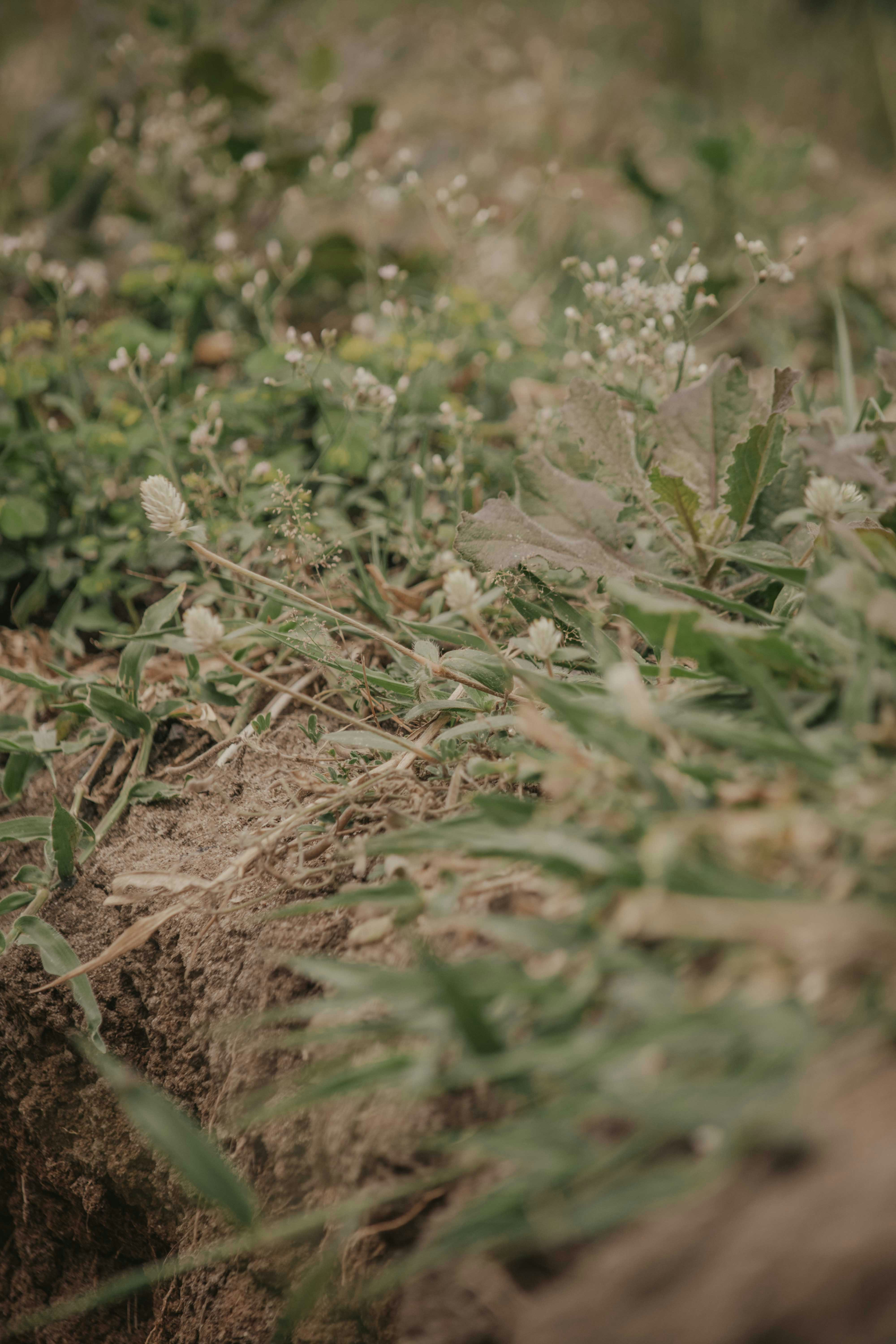 Photo by utunzajiwamazingira