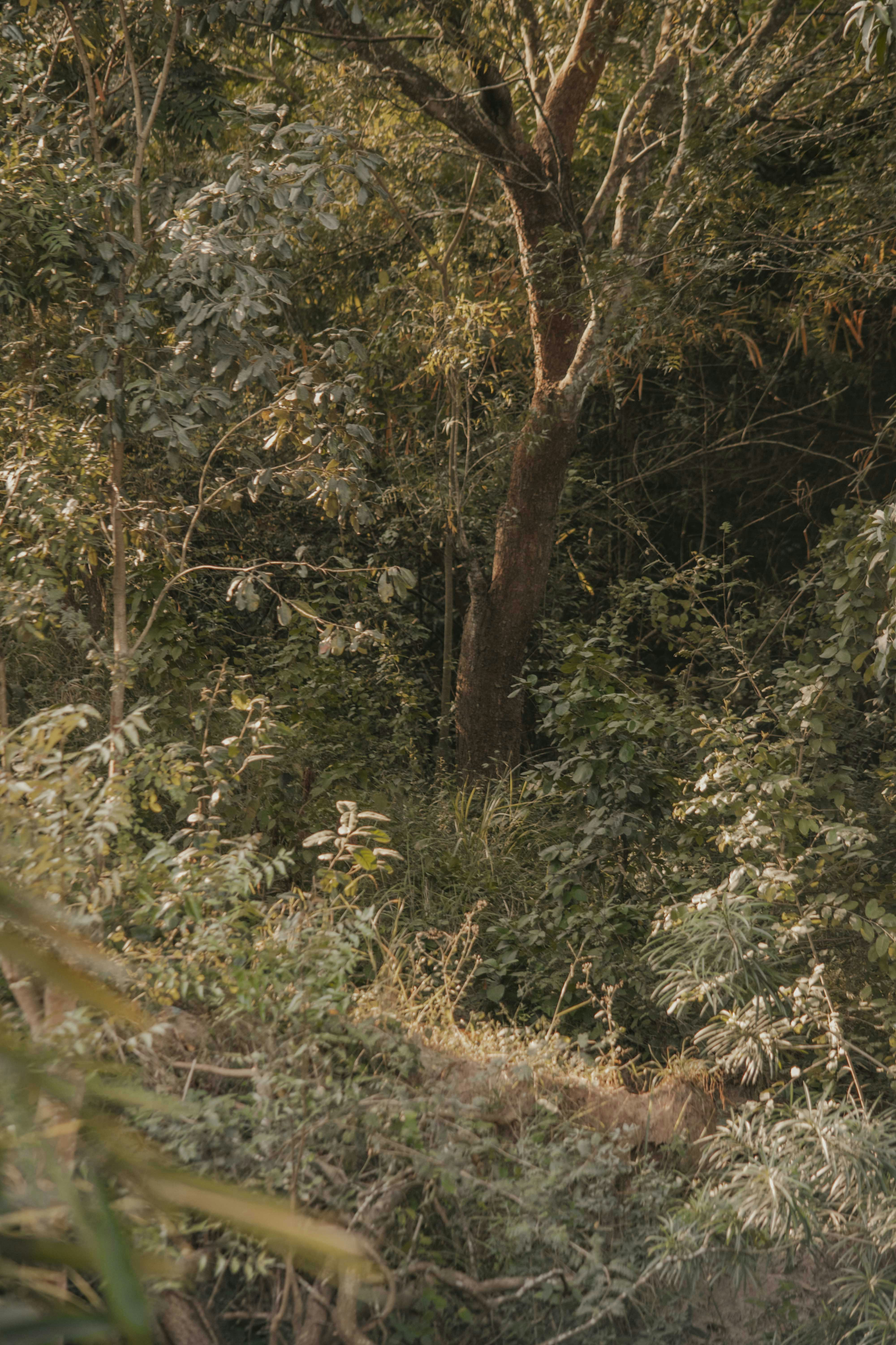 Photo by utunzajiwamazingira