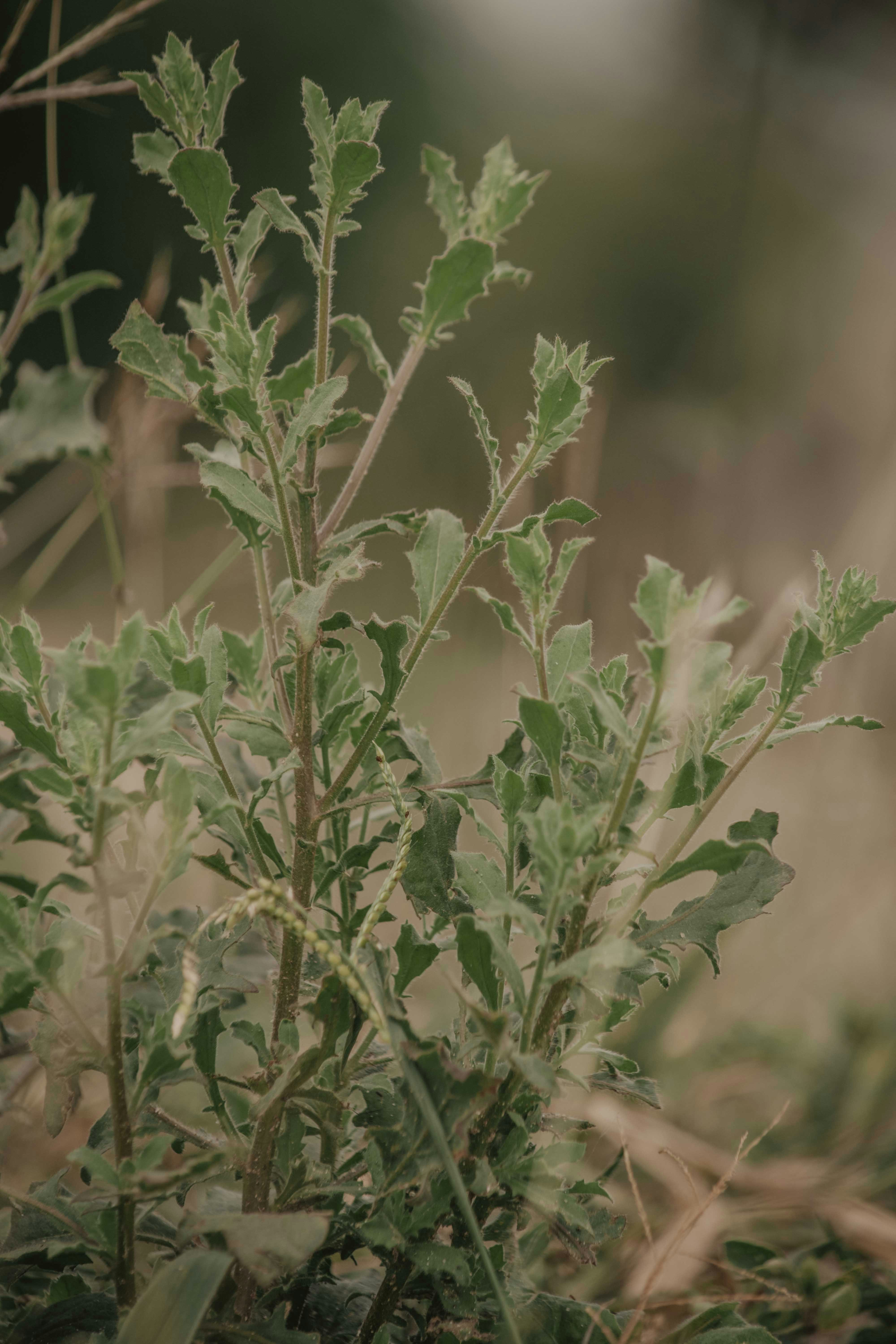 Photo by utunzajiwamazingira