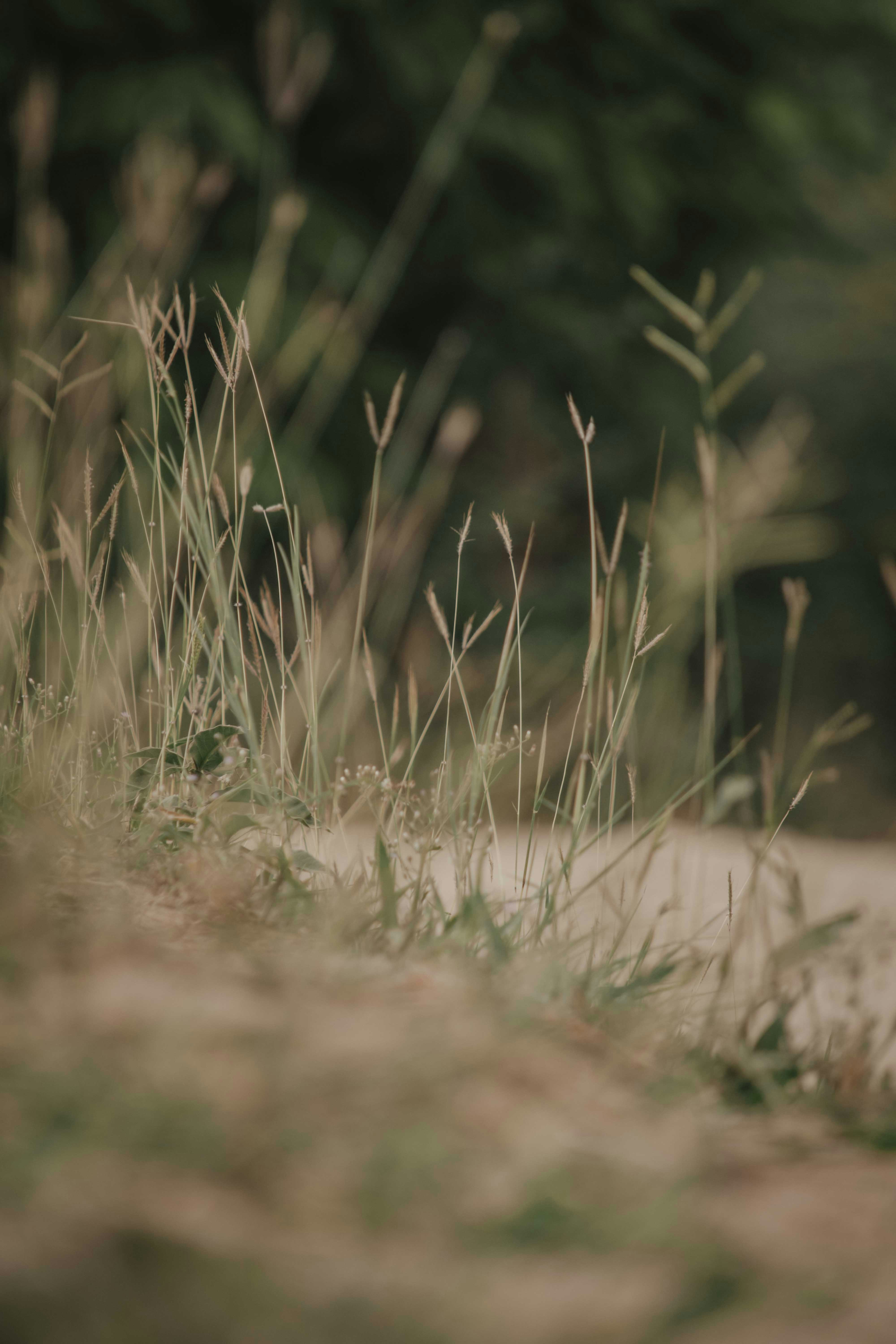 Photo by utunzajiwamazingira