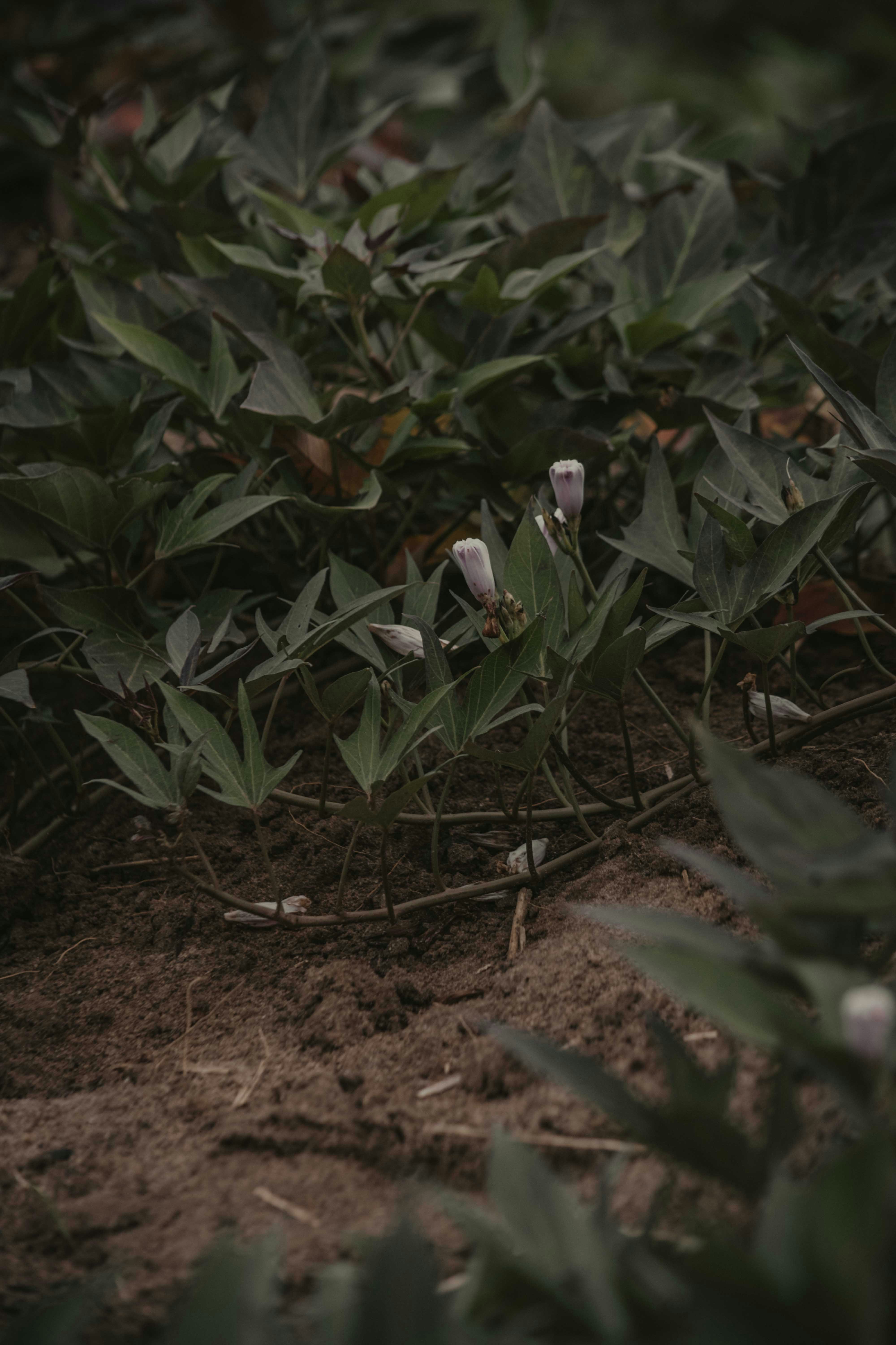 Photo by utunzajiwamazingira