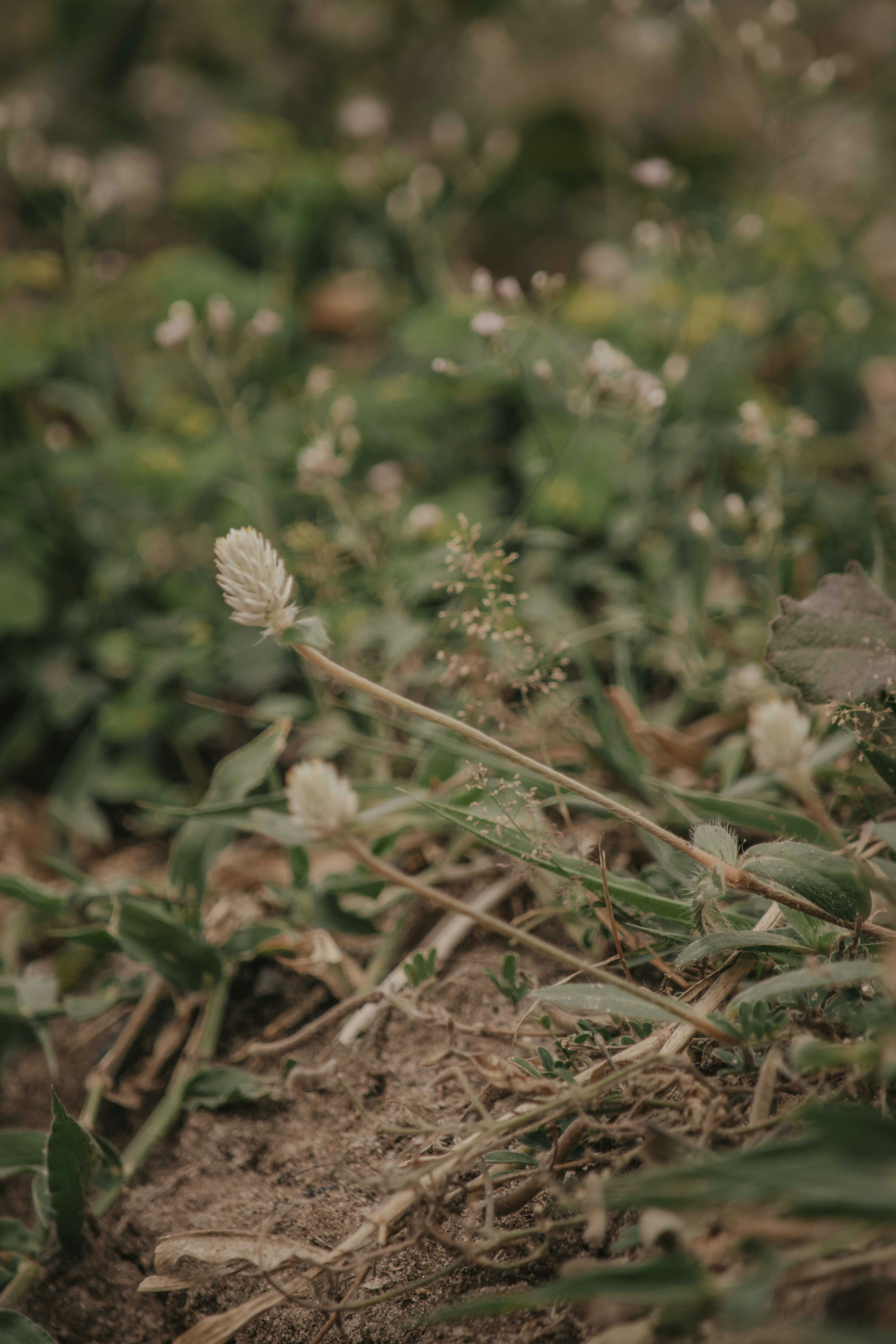 Photo by utunzajiwamazingira