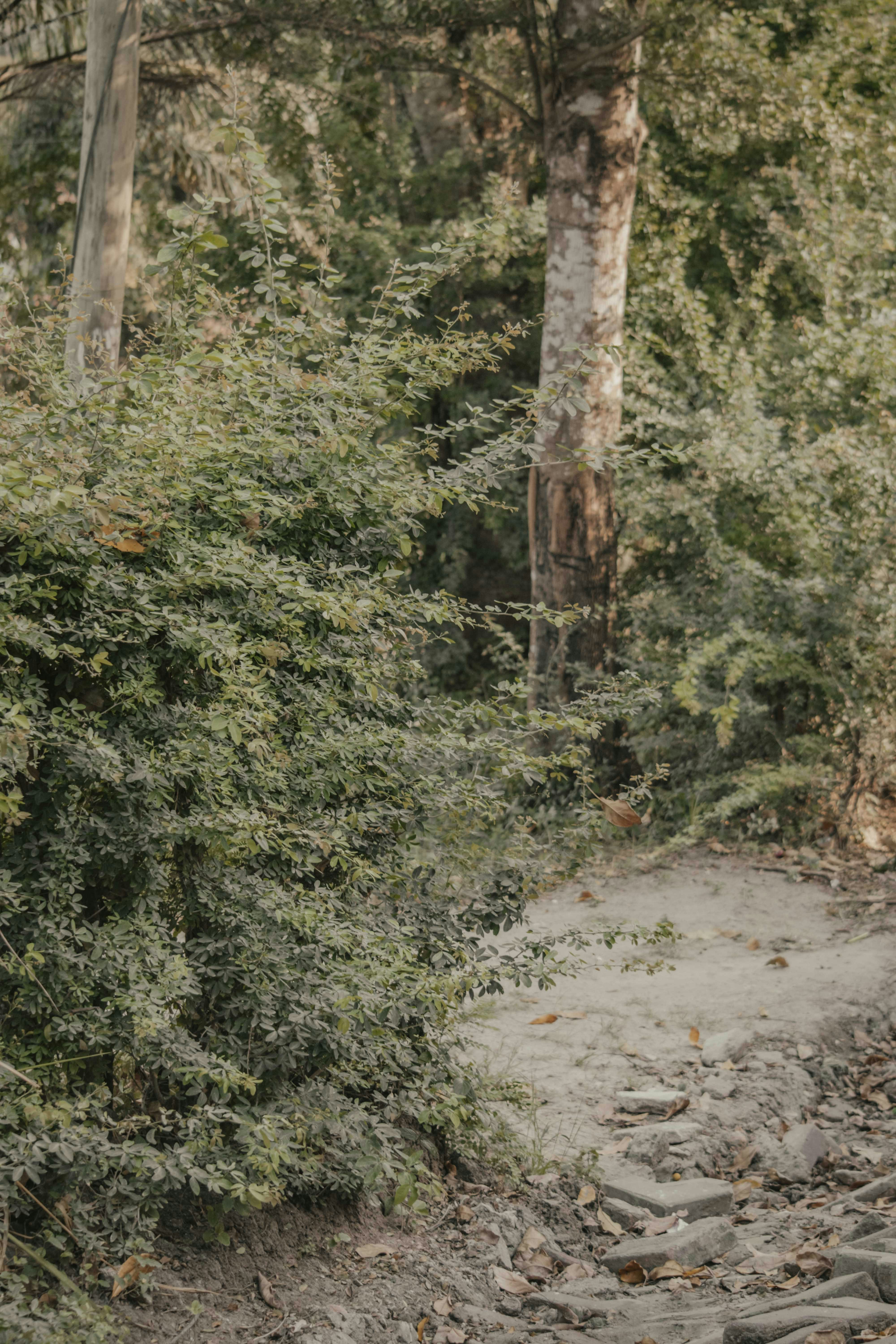 Photo by utunzajiwamazingira