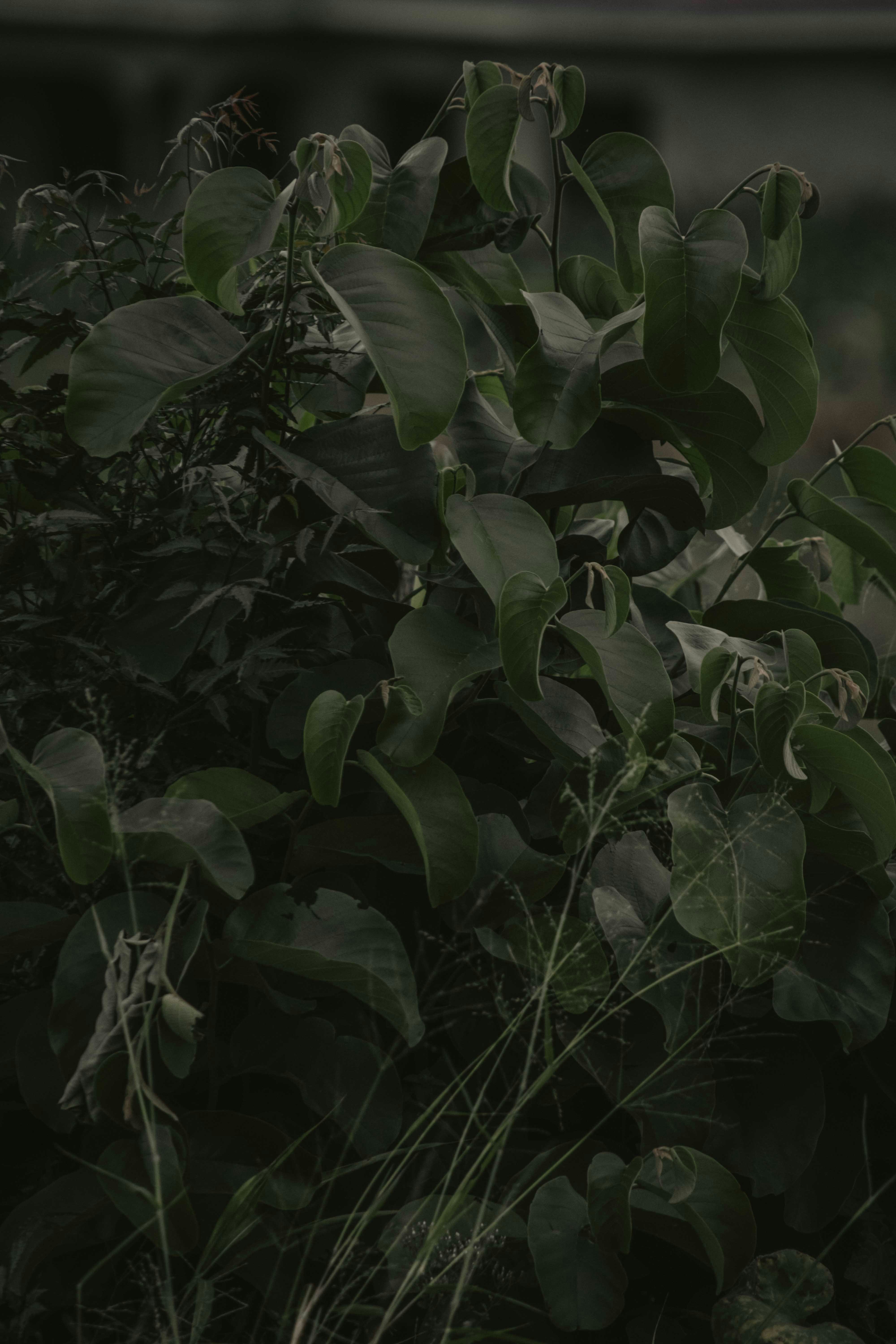 Photo by utunzajiwamazingira