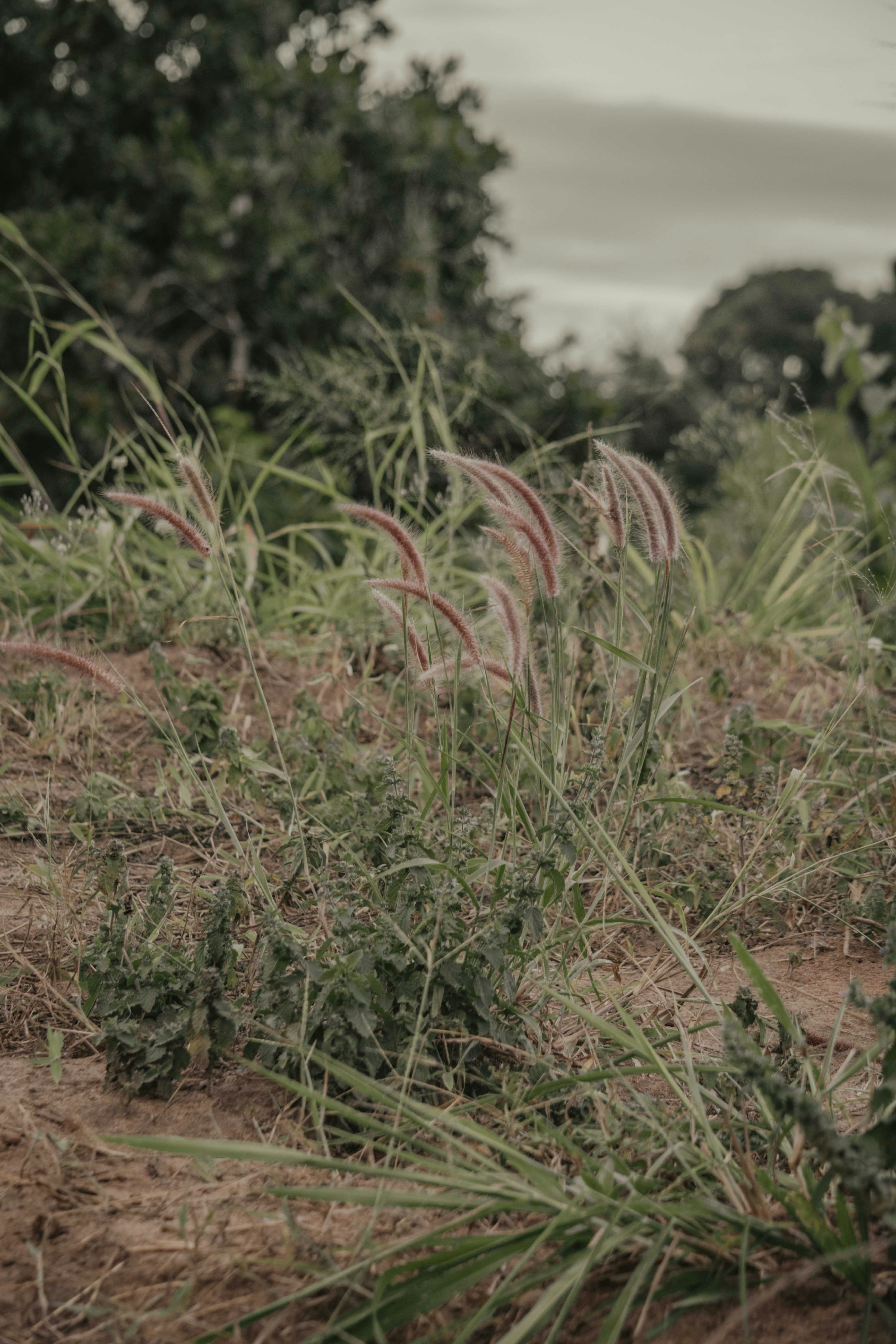 Photo by utunzajiwamazingira