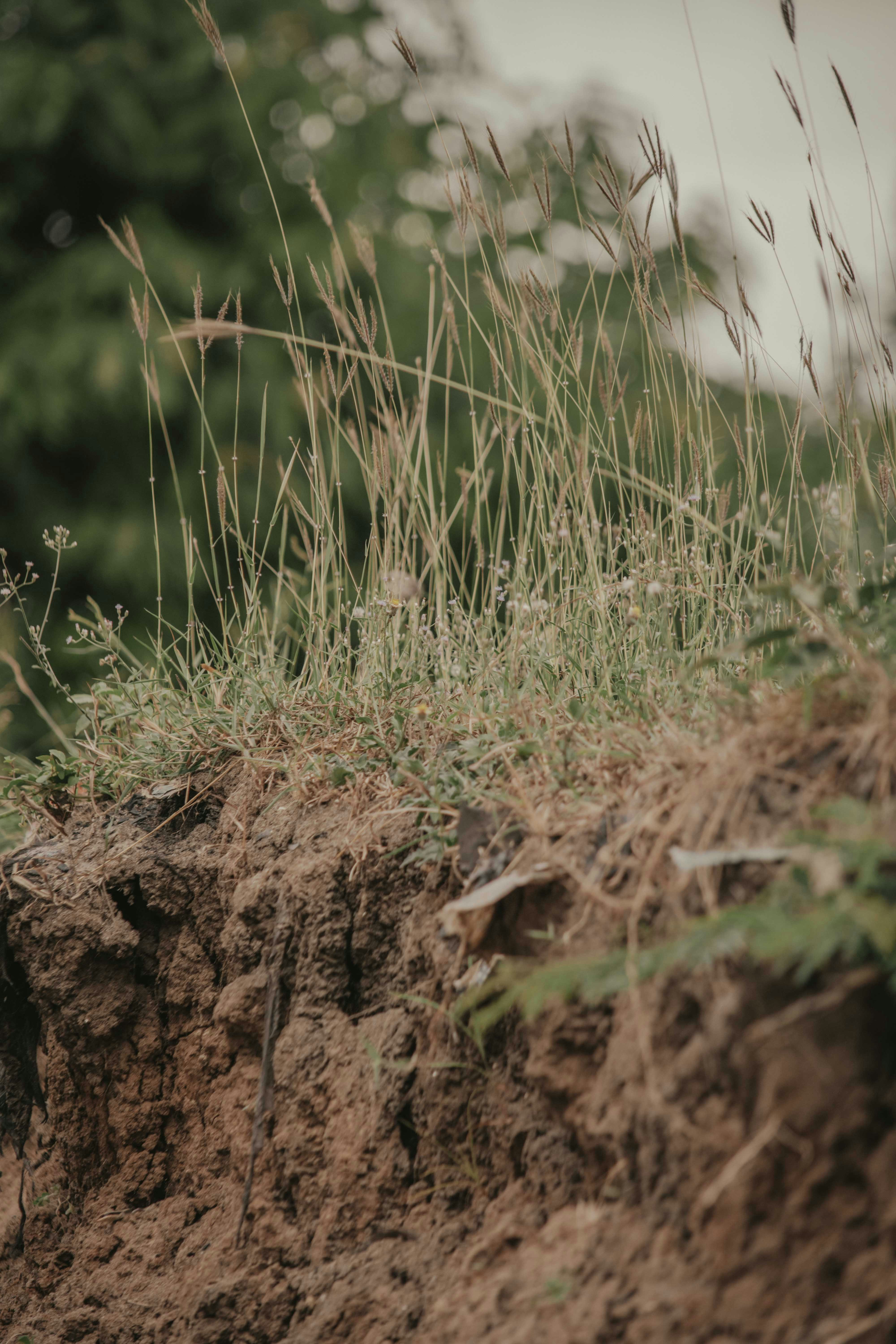 Photo by utunzajiwamazingira