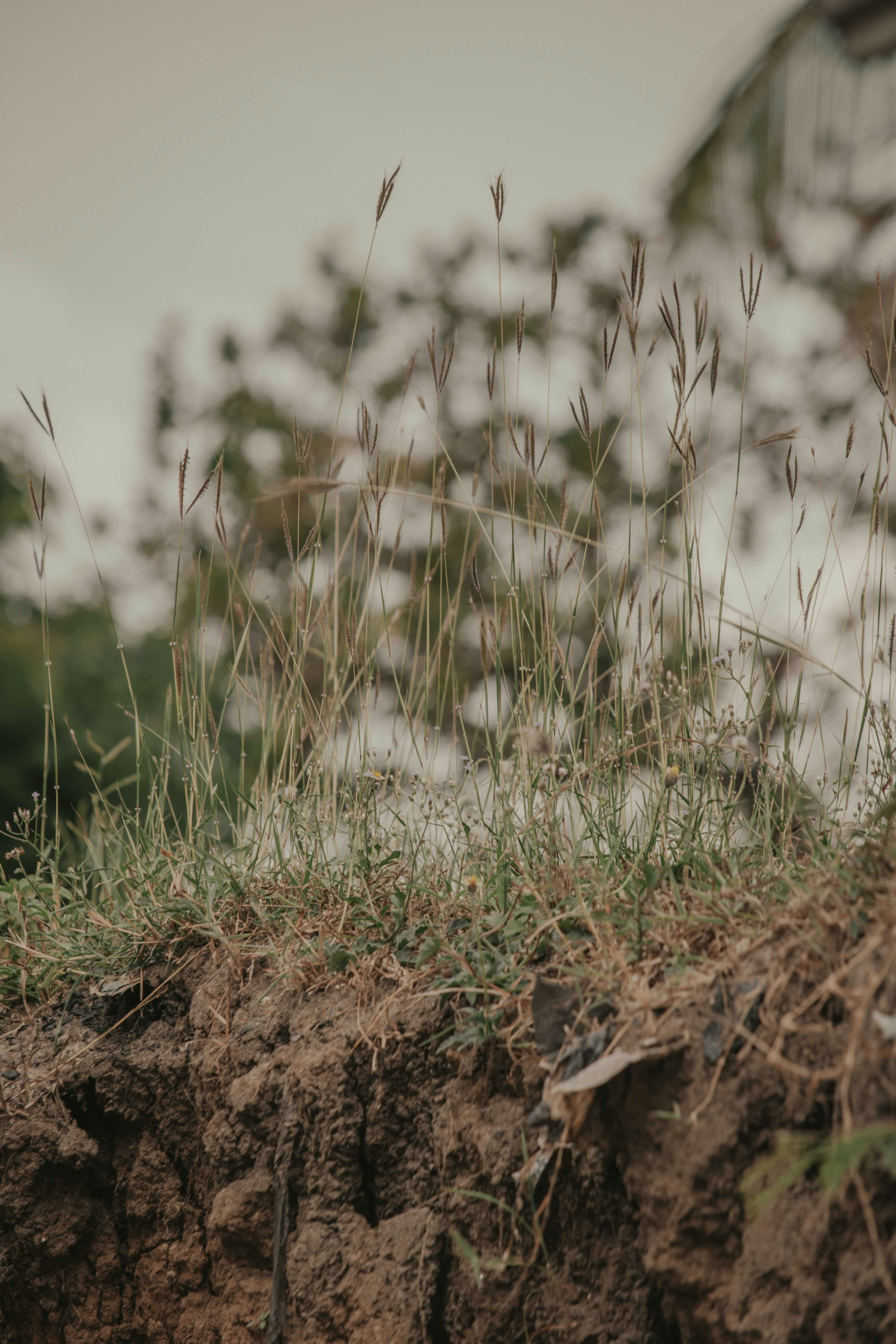 Photo by utunzajiwamazingira