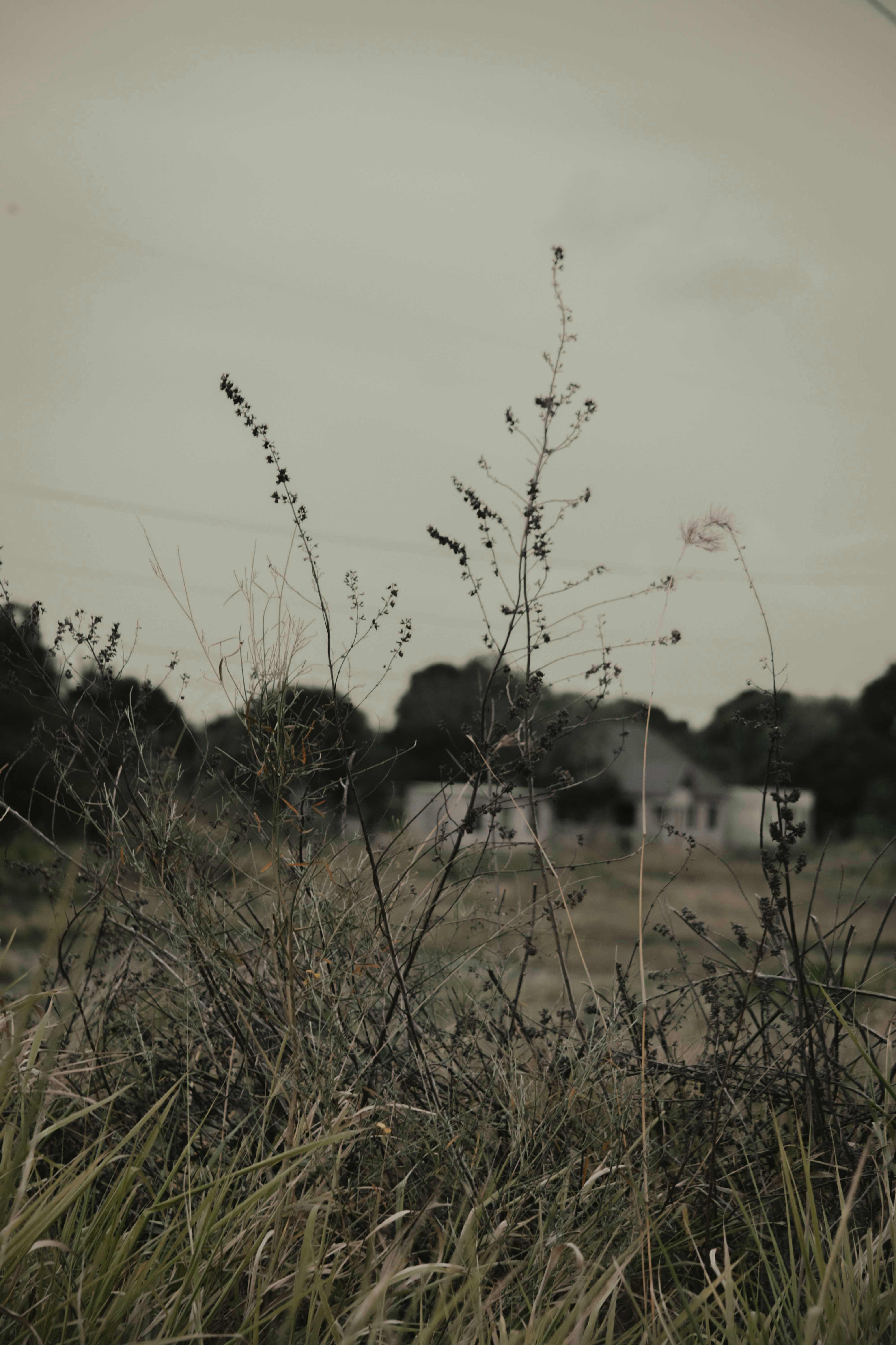 Photo by utunzajiwamazingira