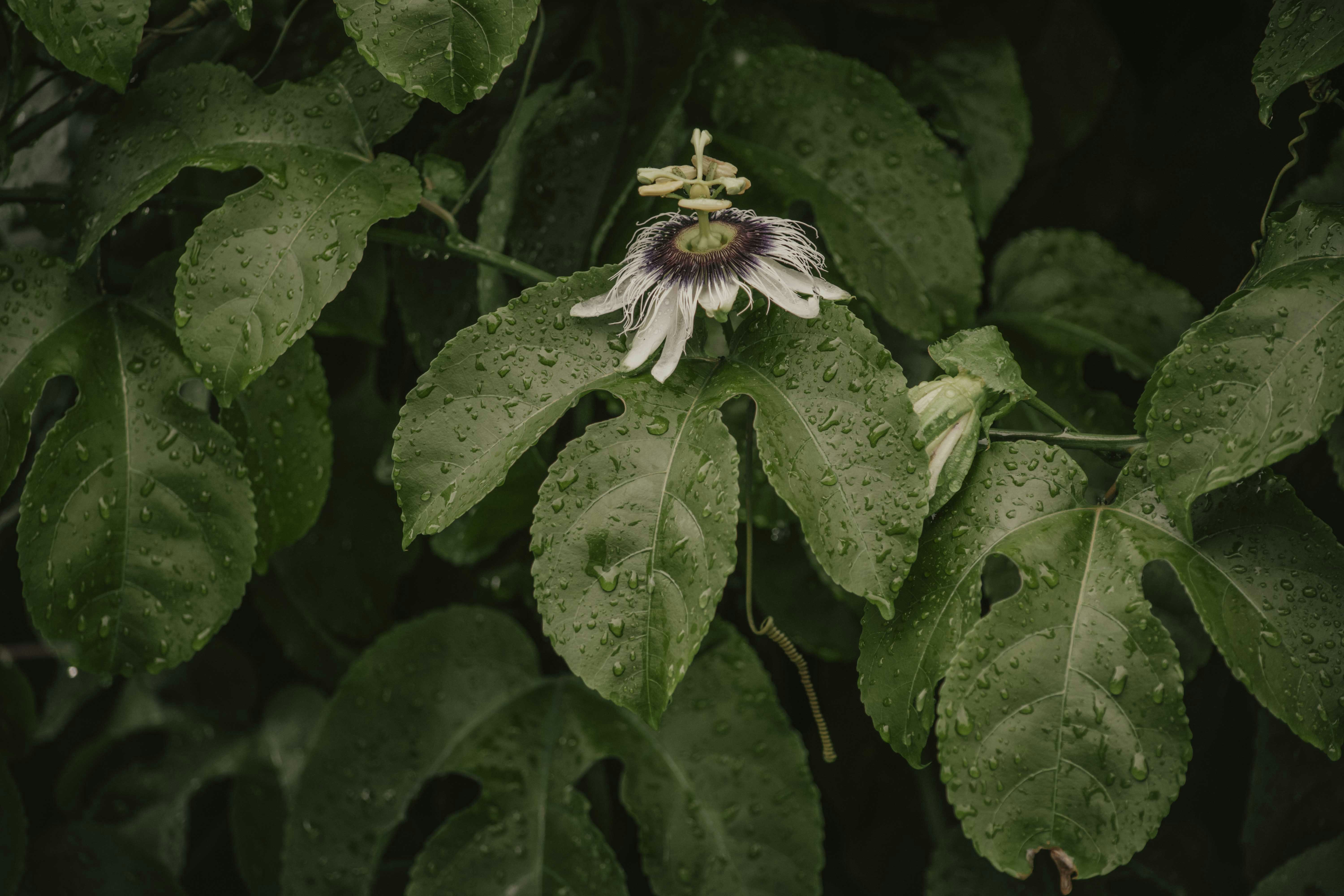 Photo by utunzajiwamazingira