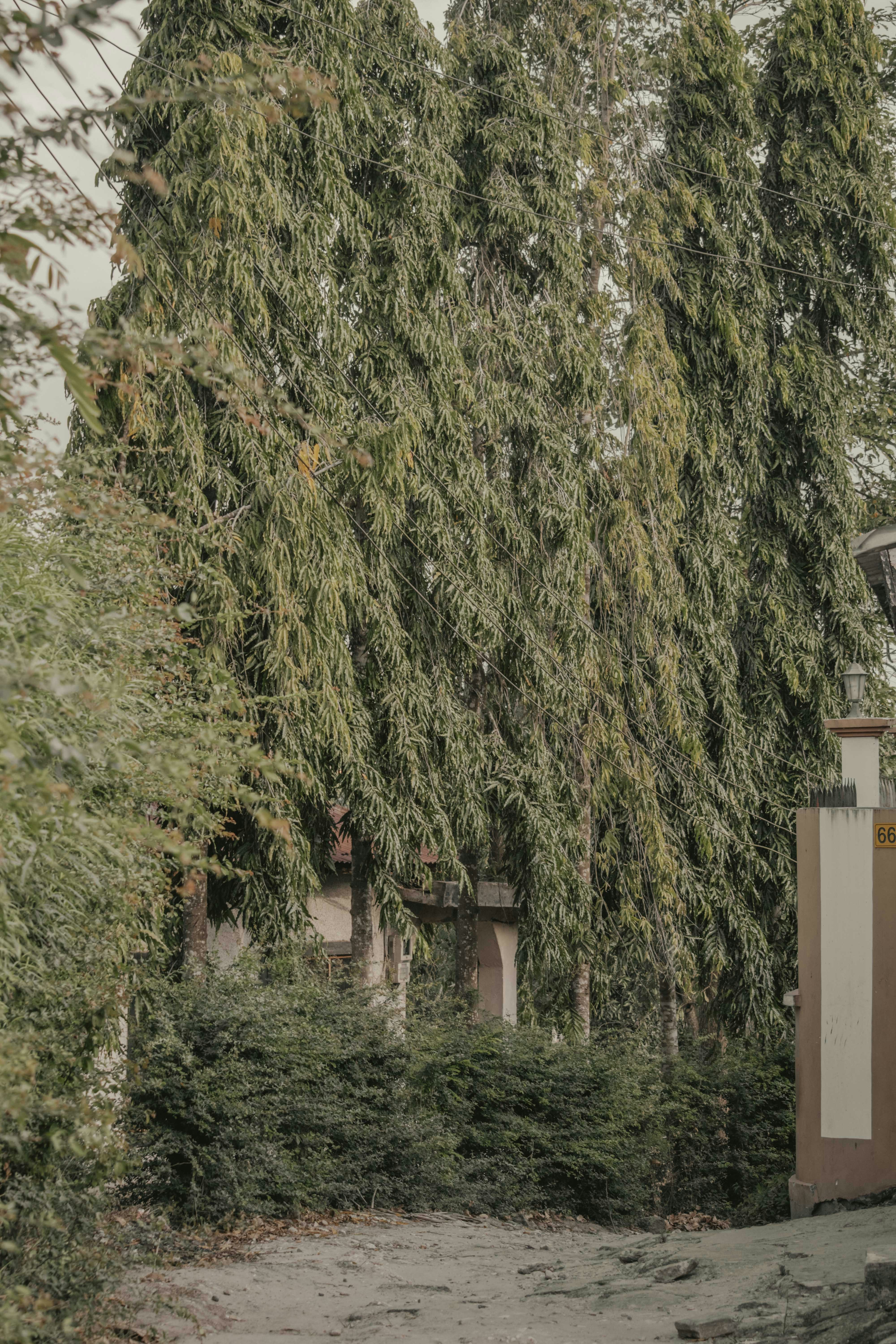 Photo by utunzajiwamazingira