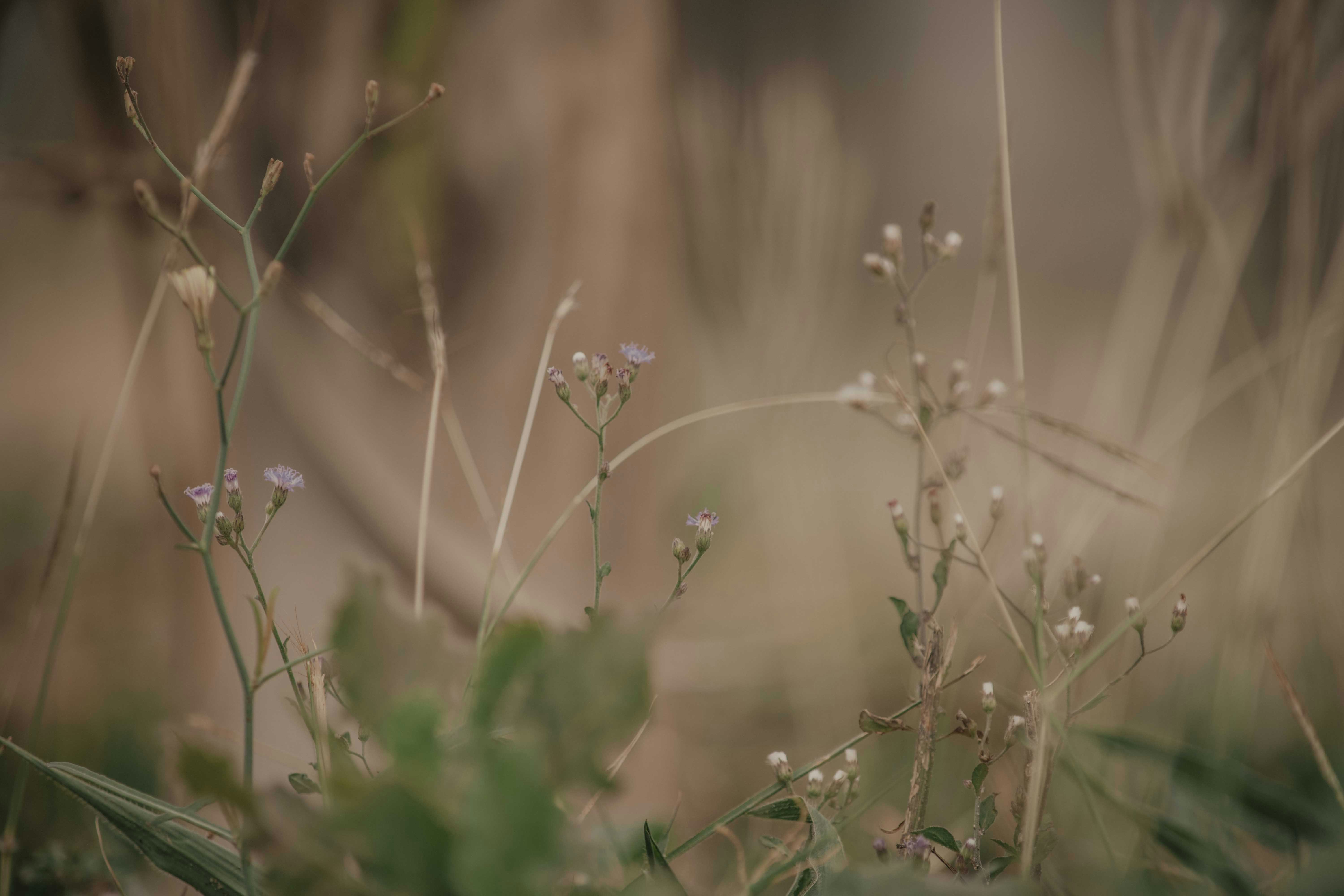 Photo by utunzajiwamazingira