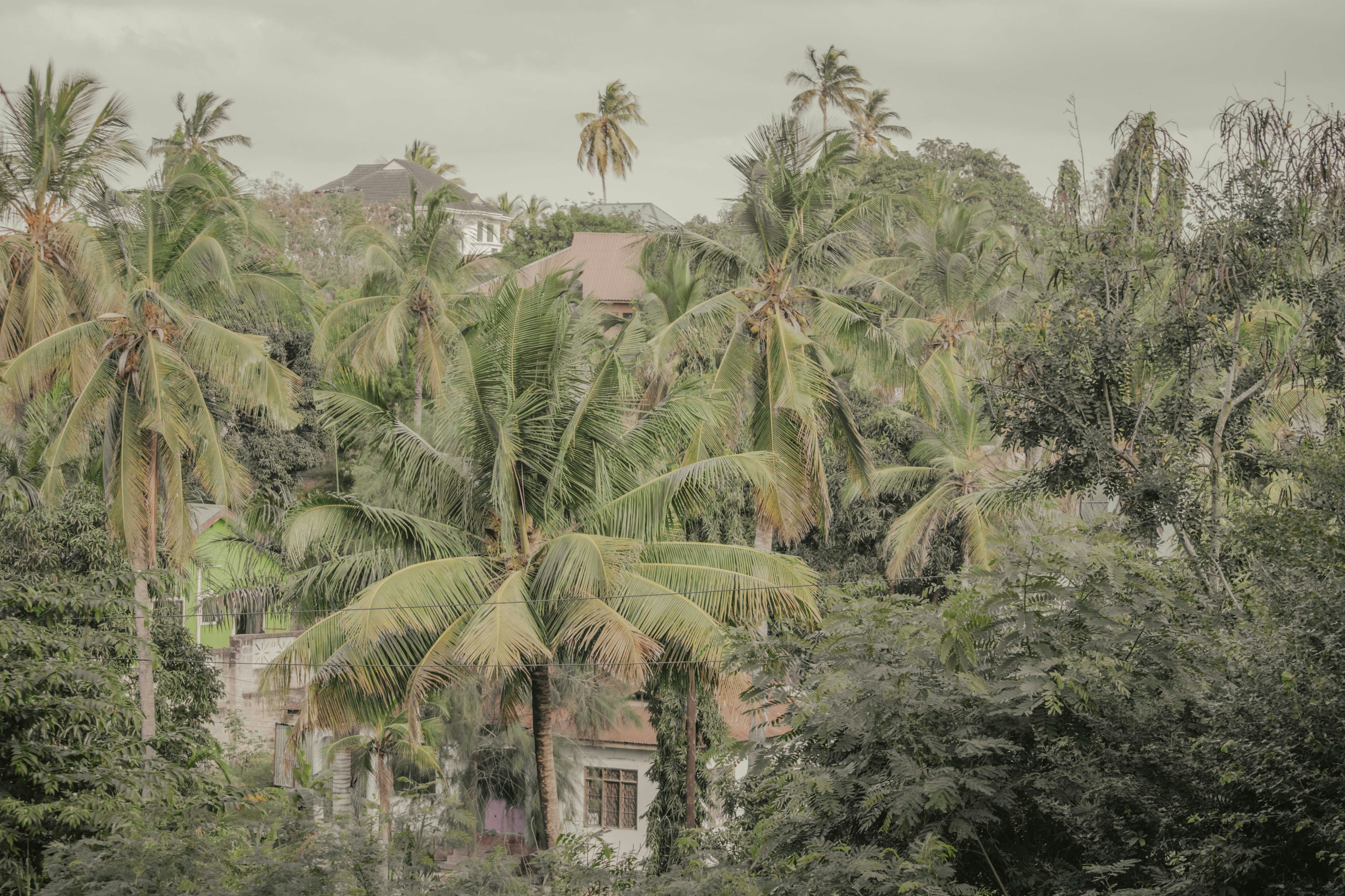 Photo by utunzajiwamazingira