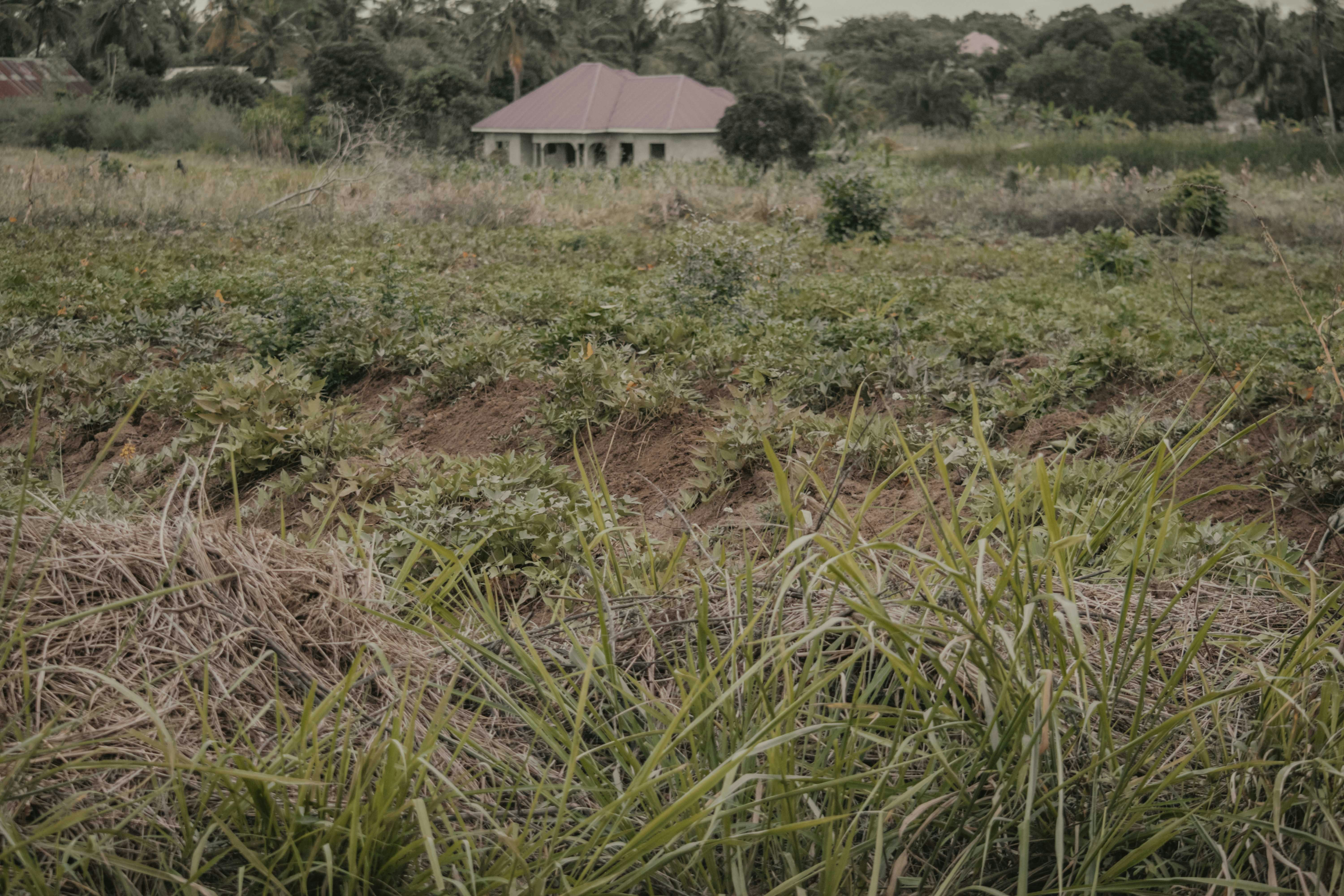 Photo by utunzajiwamazingira