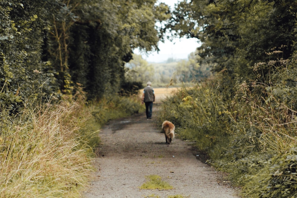 a person walking a dog down a dirt road