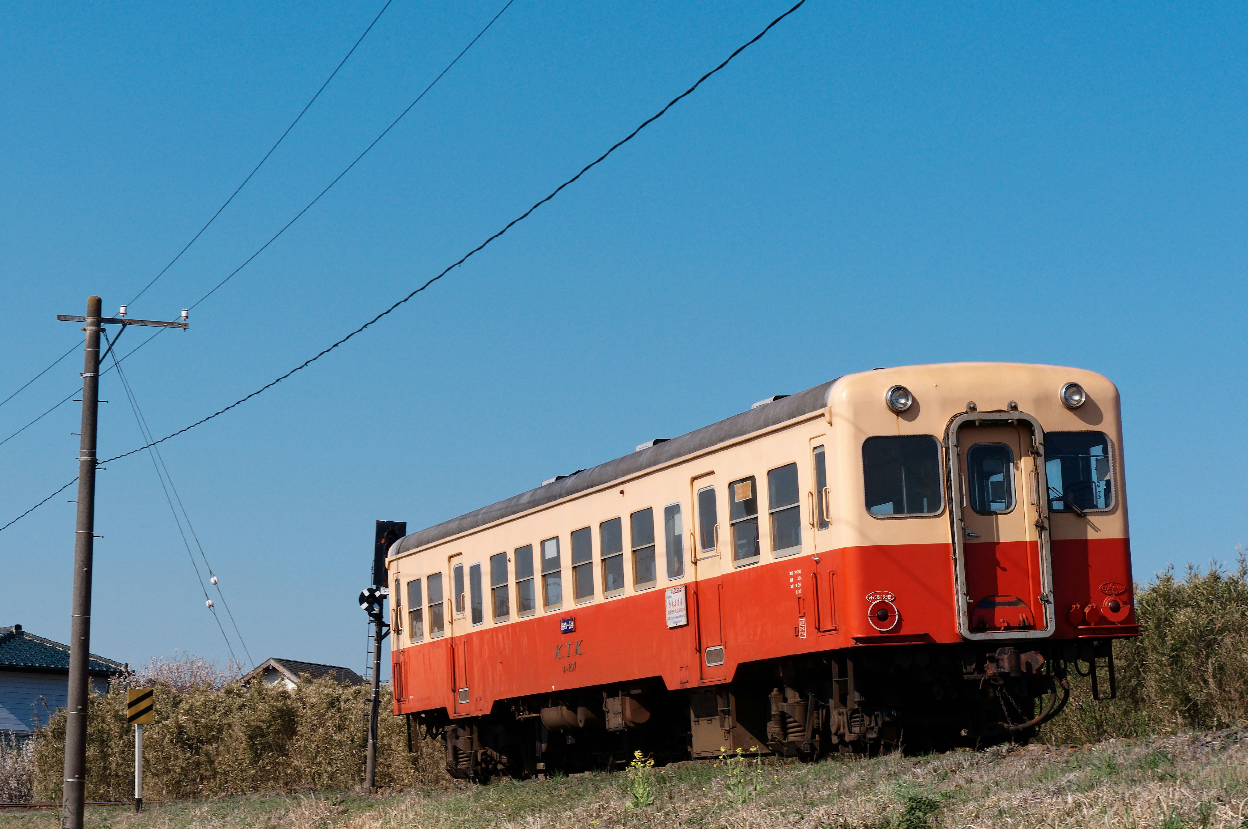 Photo by da_shika_photo