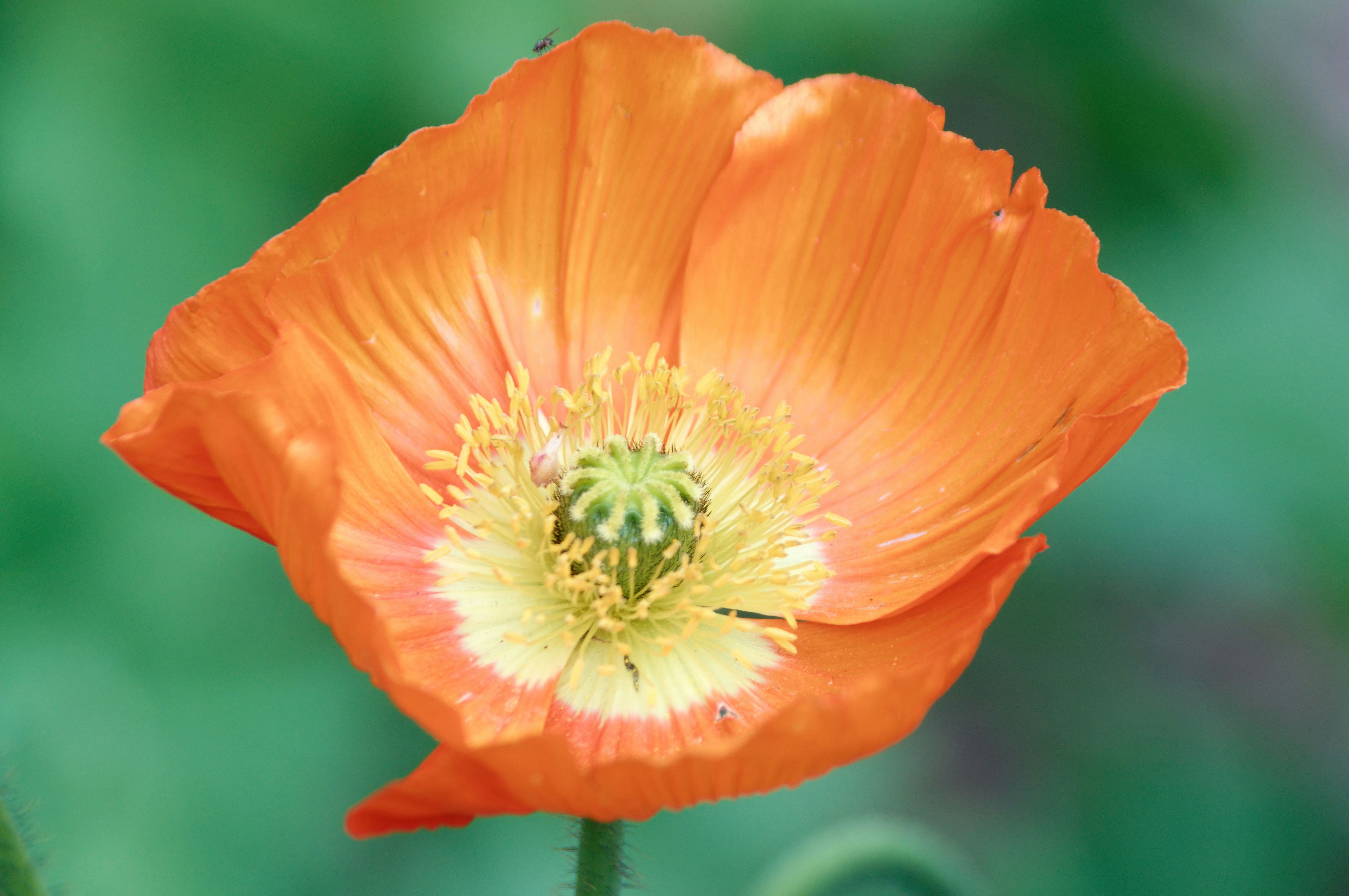 Photo by da_shika_photo