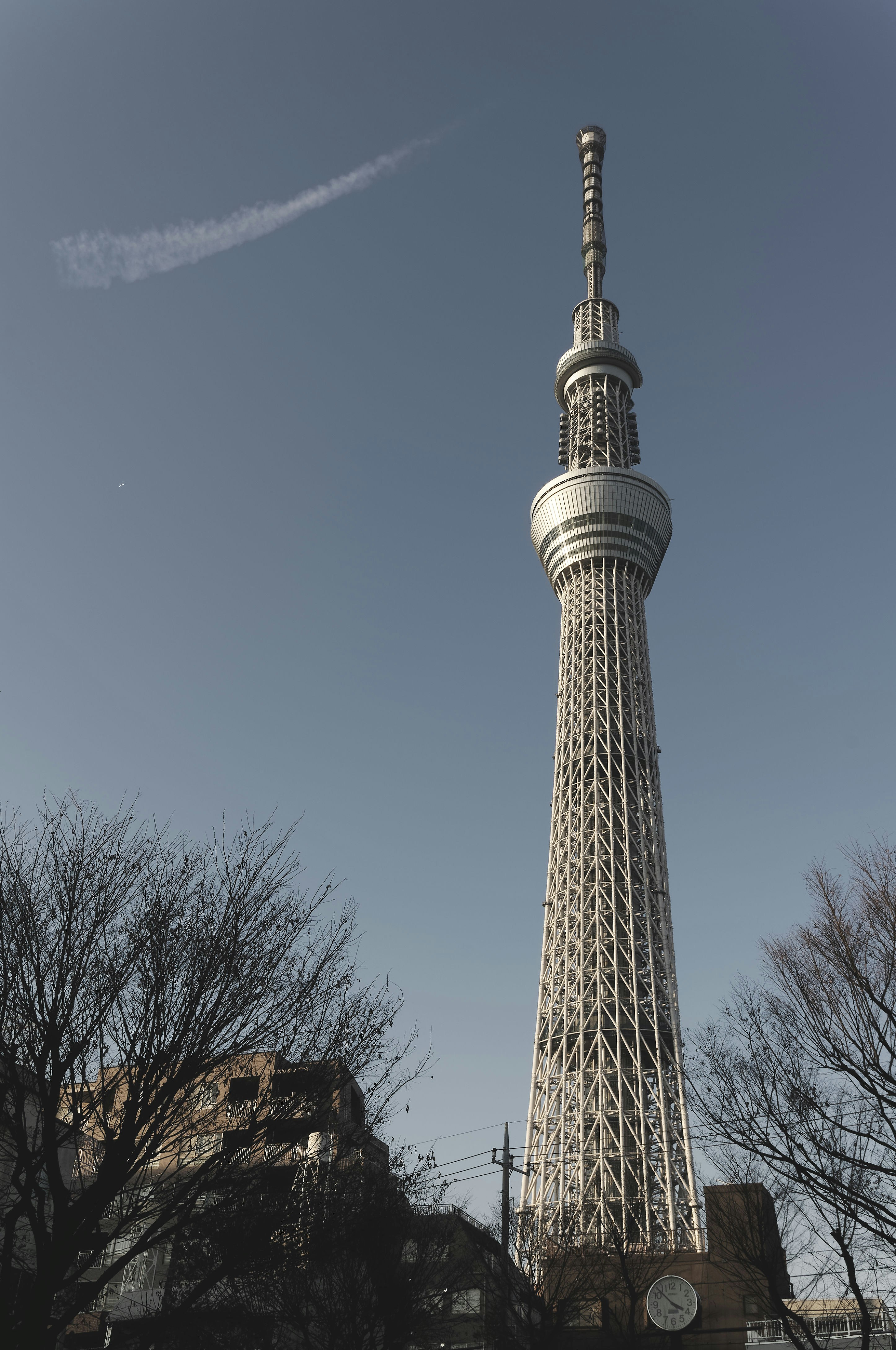 Photo by da_shika_photo