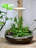 A close-up photo of a sleek glass terrarium with lush green plants inside, placed on a wooden table.