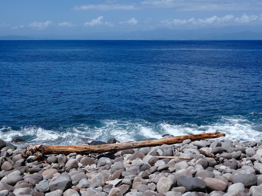 a log laying on top of a rocky beach next to the ocean