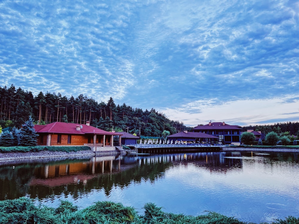 a body of water surrounded by a forest