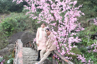 Wall and Mariana holding hands on a rustic wooden bridge surrounded by blooming cherry blossoms.