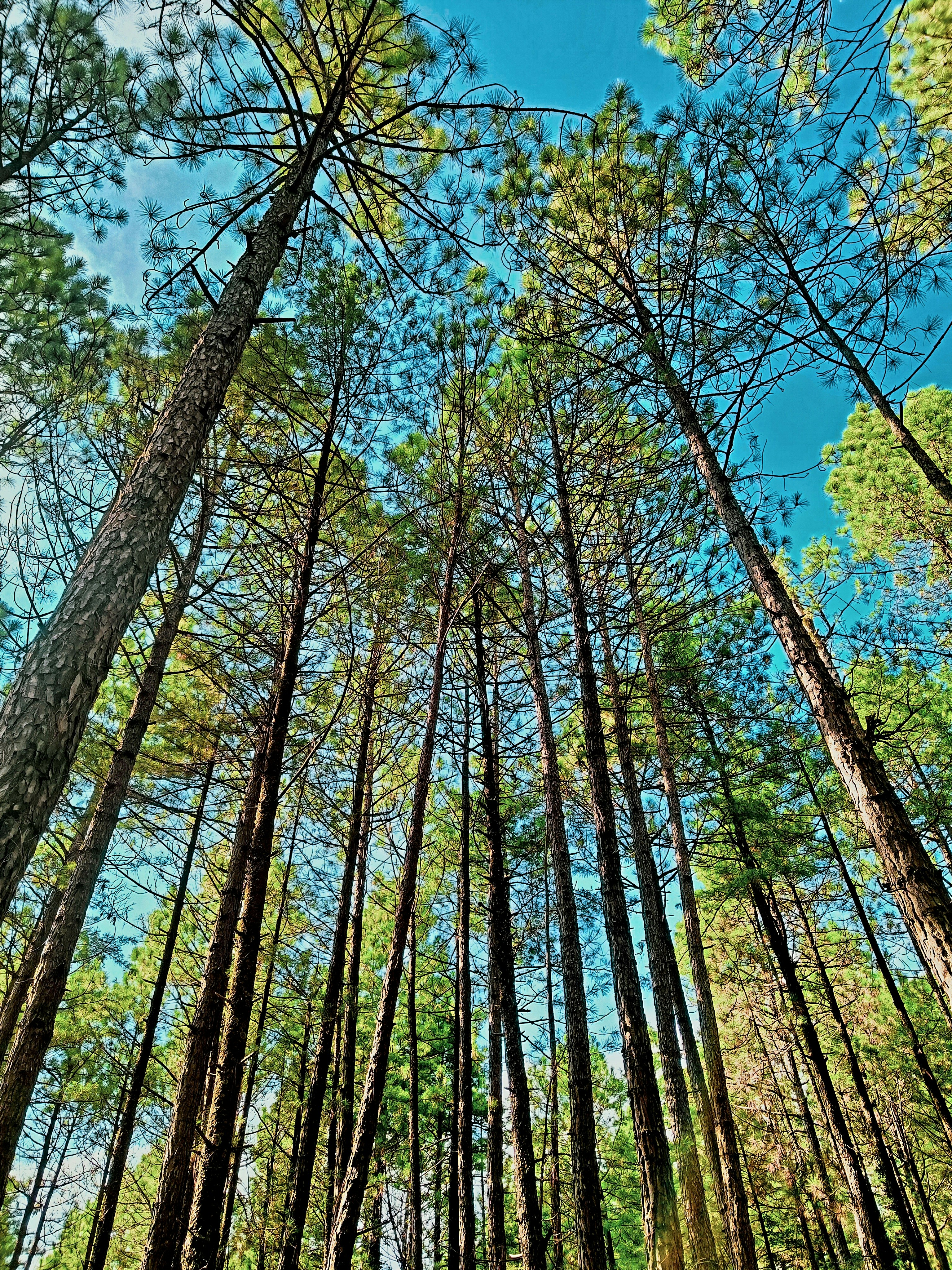 Photo by abdullah367