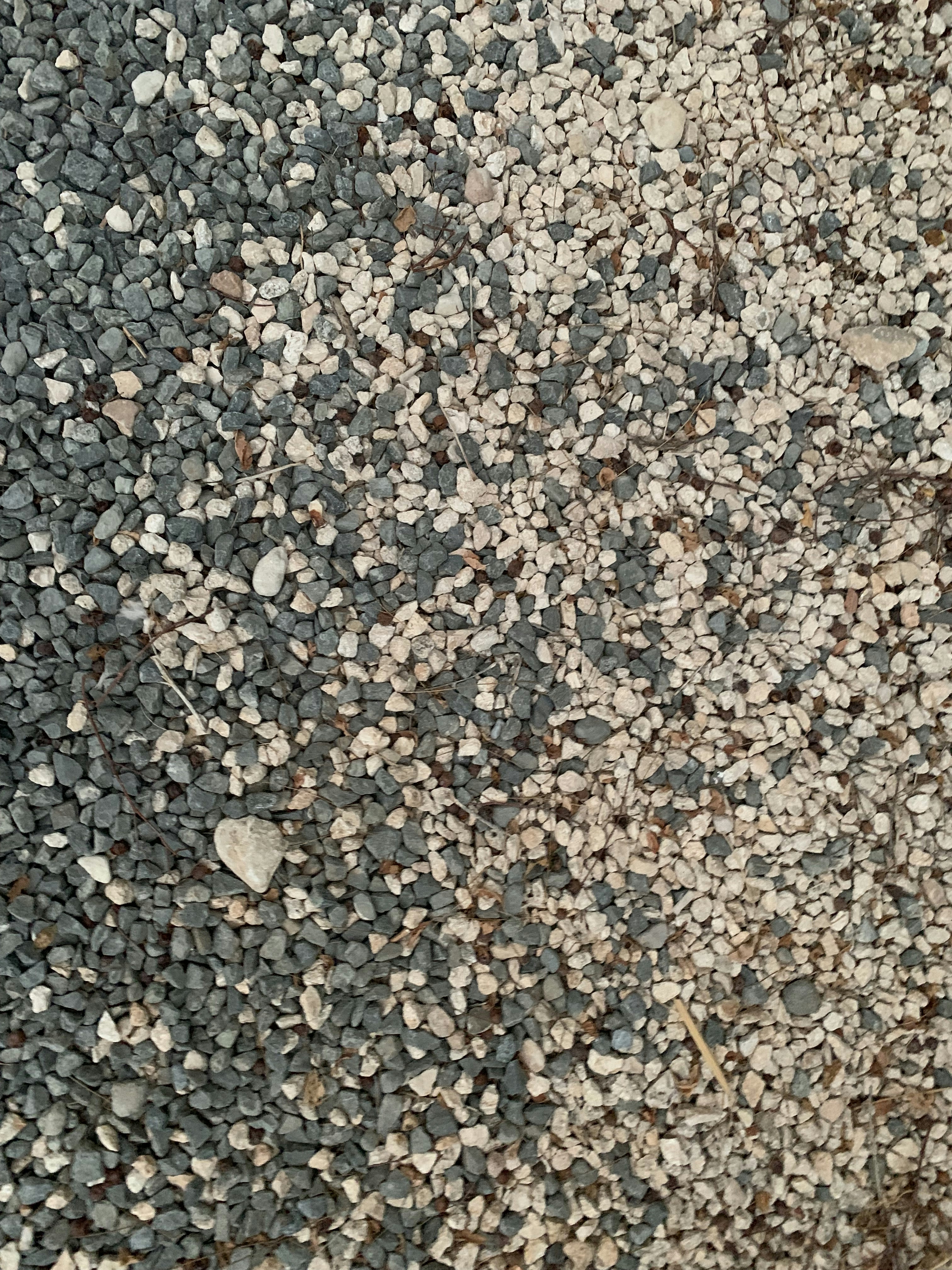 Photo by cinnamonroll_1